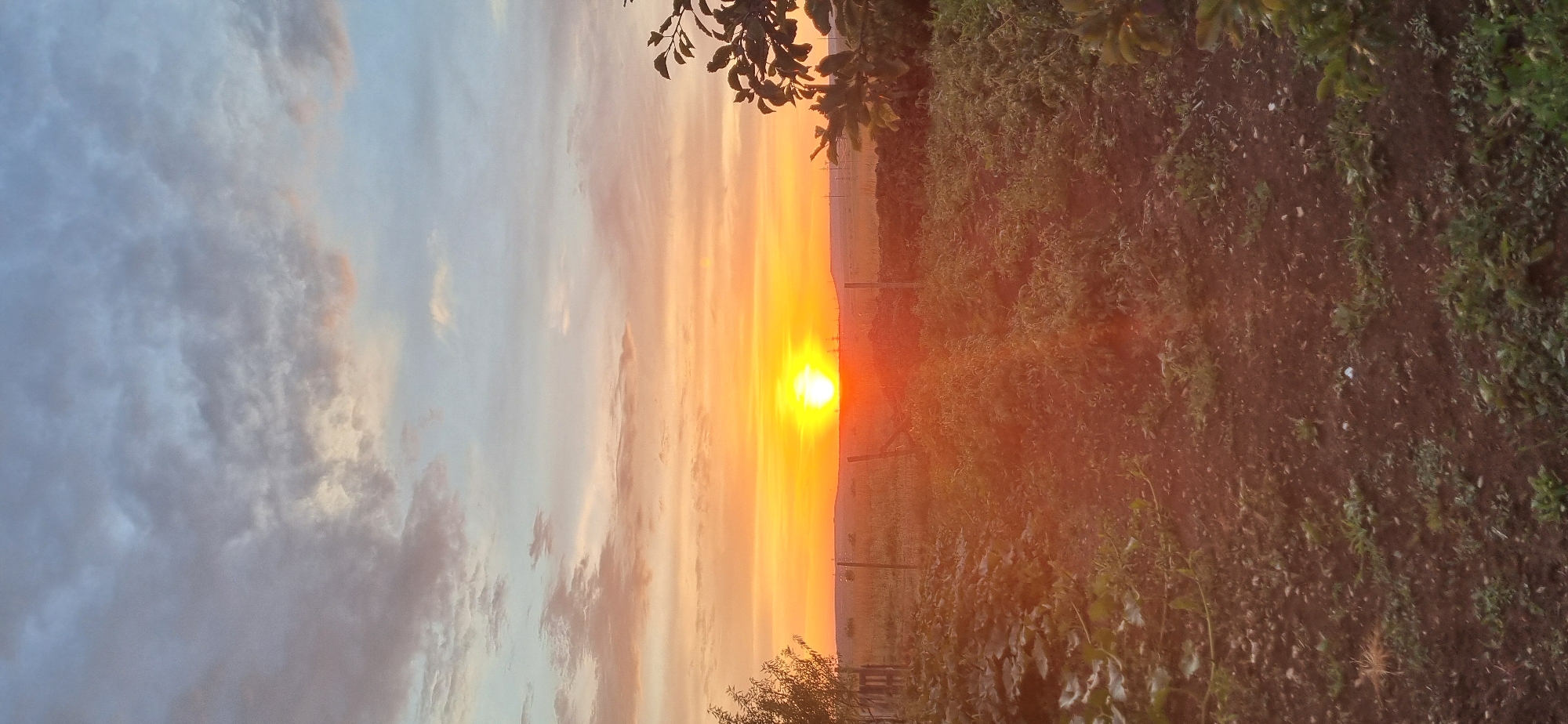 Sunset, garden, and portraits from a rural Ukrainian evening