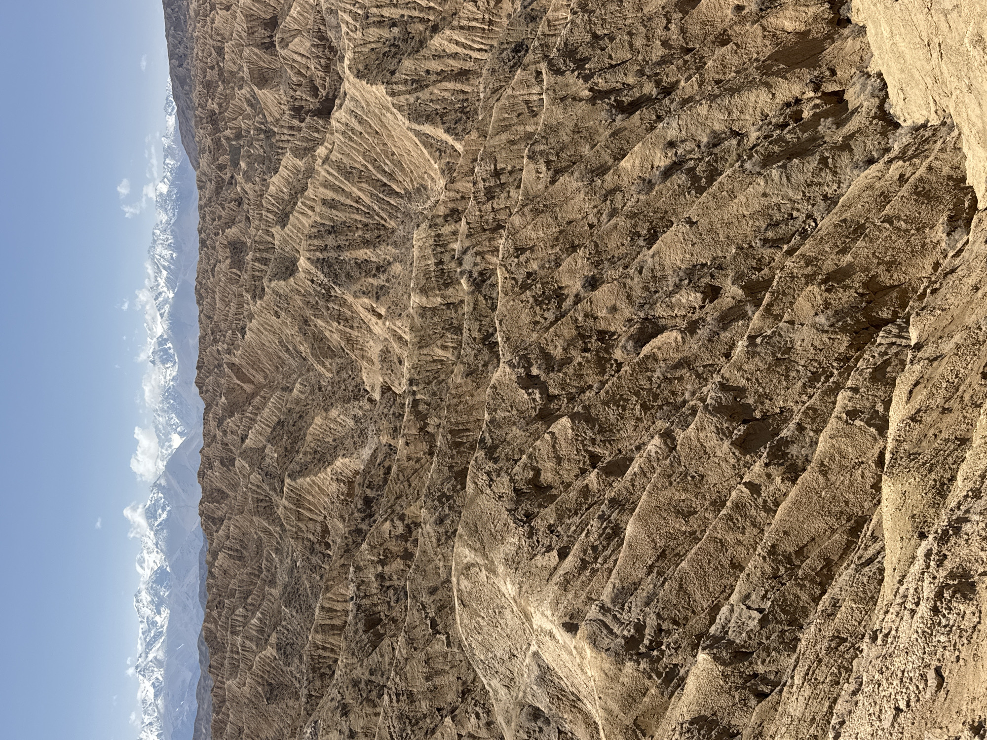 Dramatic eroded canyon landscapes documented near Tong, Kyrgyzstan