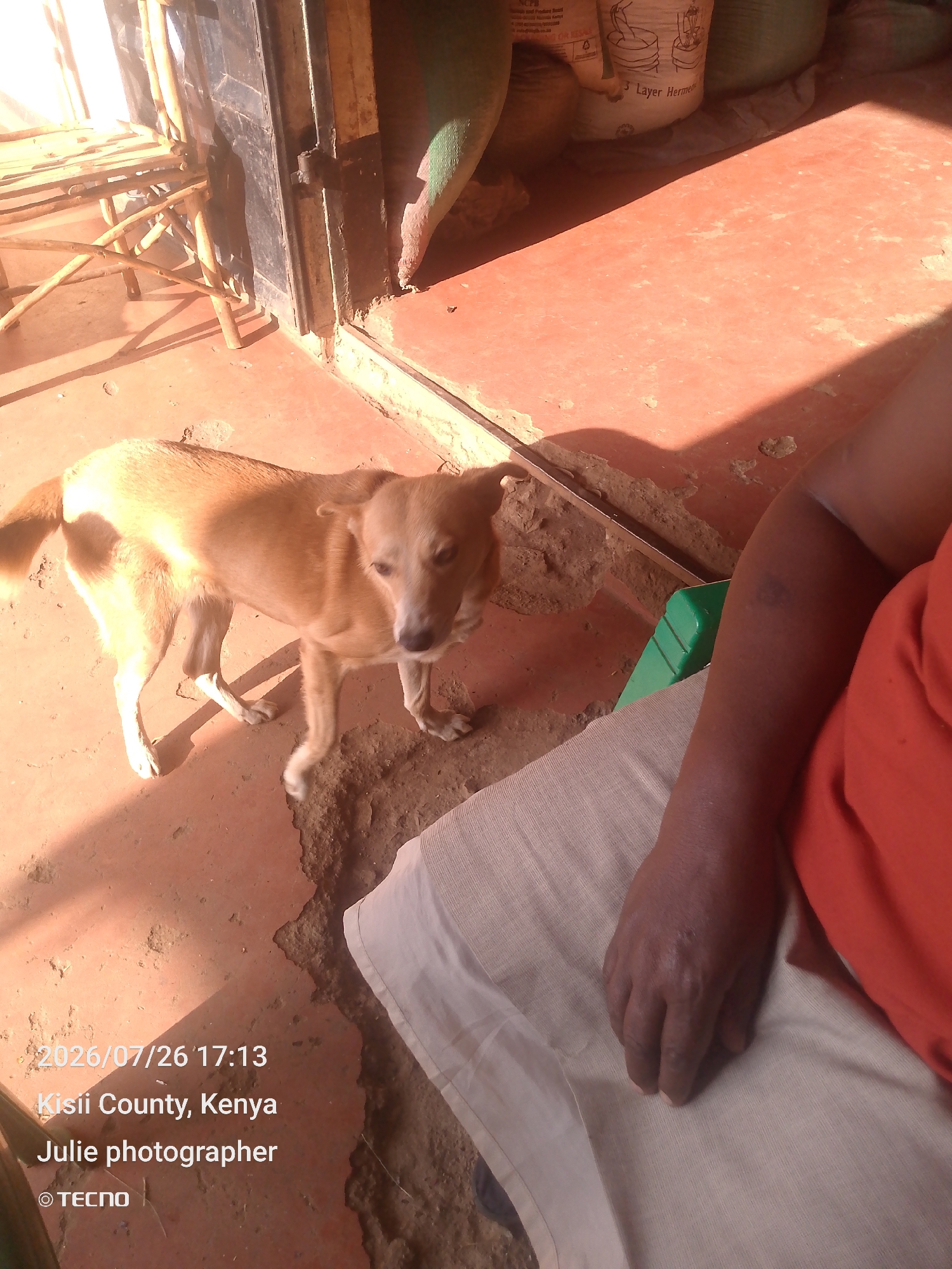 Borabu Chitago ward, Kenya