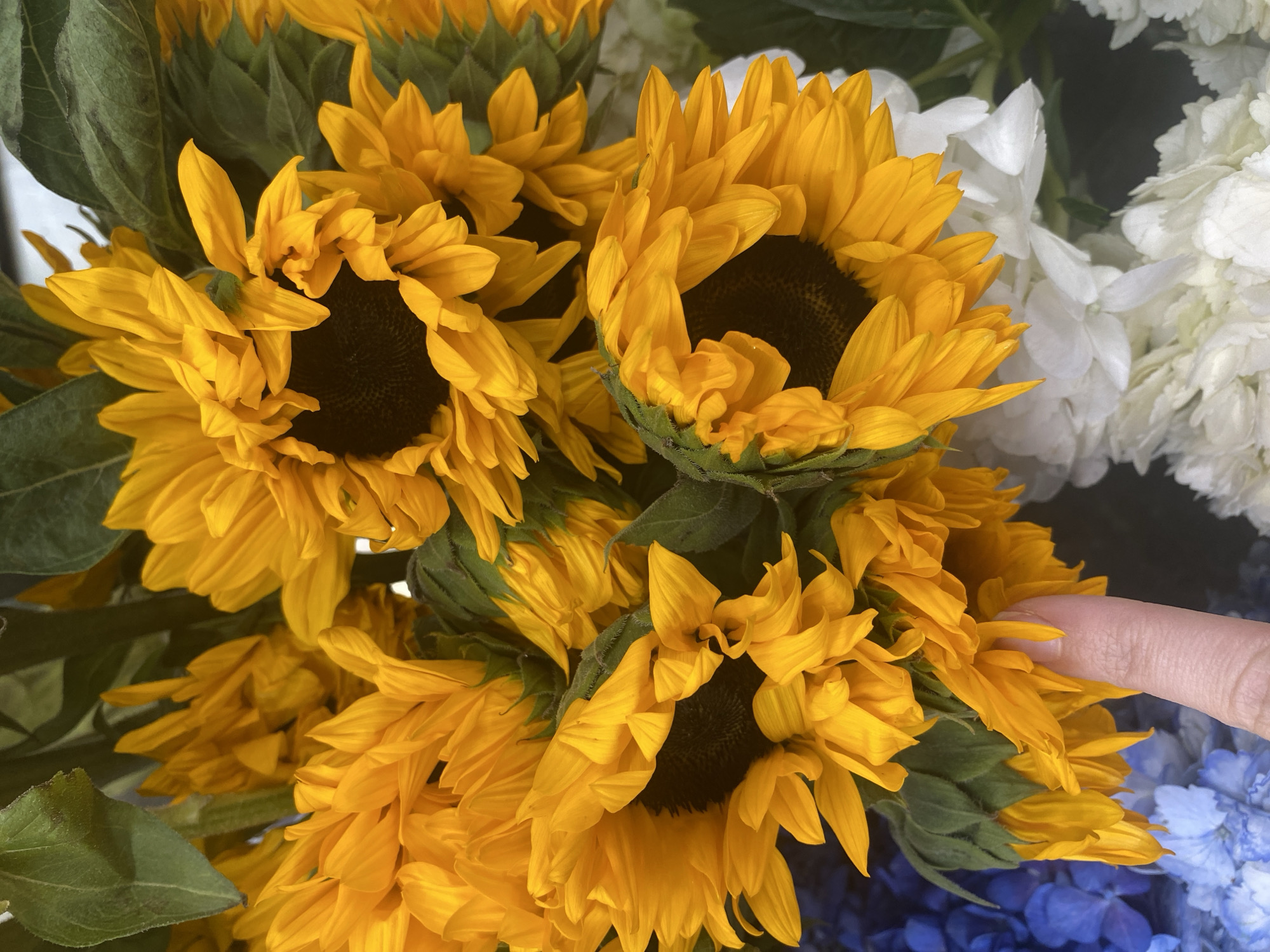 Early morning flower shop operations documented in Yekaterinburg