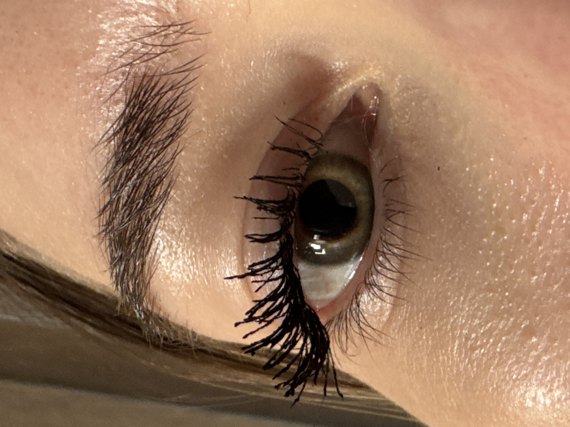 Close-up portraits of eye and kitten captured in Łódź