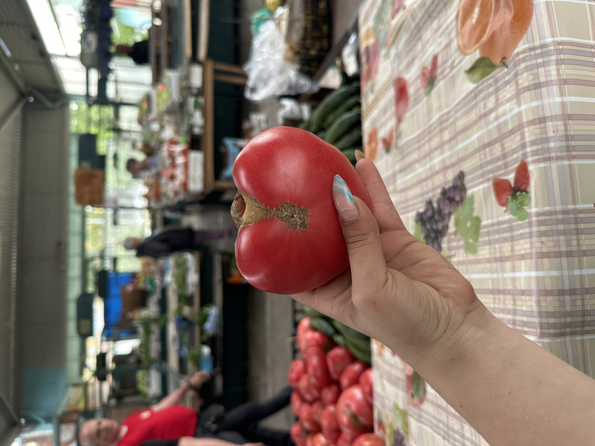 Person inspects bruised tomato at Bulgarian market stand