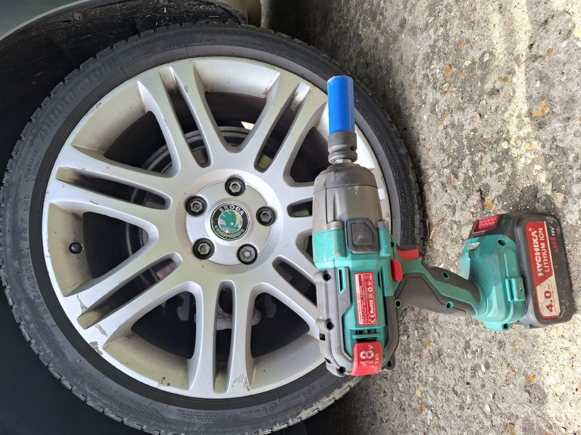 Close-up moments around Huntingdonshire: maintenance, wildlife, and details