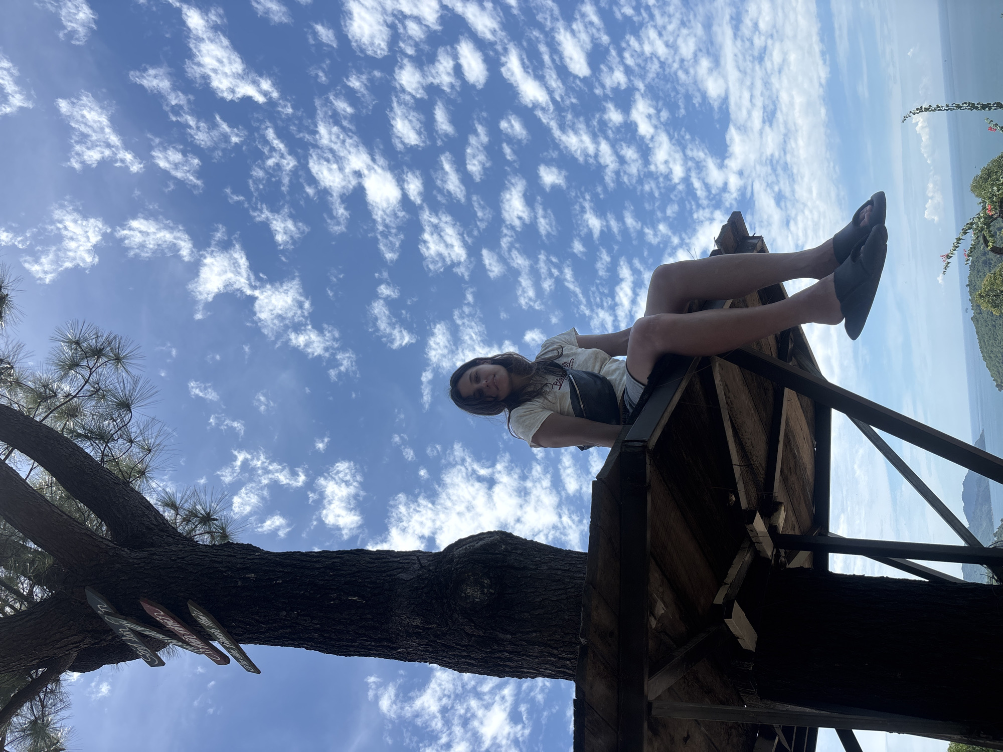 Hilltop Sơn Trà: tree platforms, coastal views, and roaming sheep