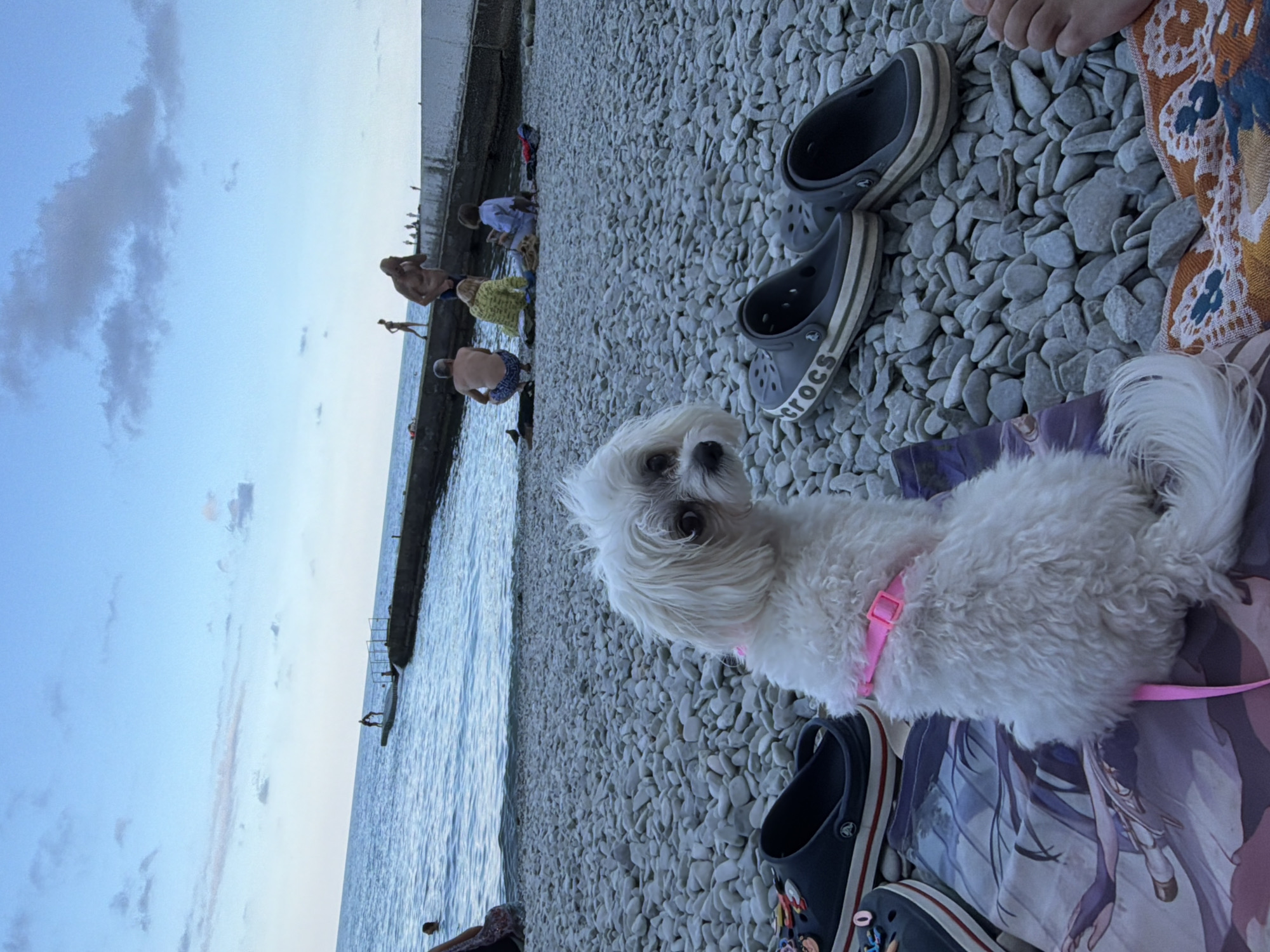 Lazy afternoon on a pebble beach in Partenit, Ukraine