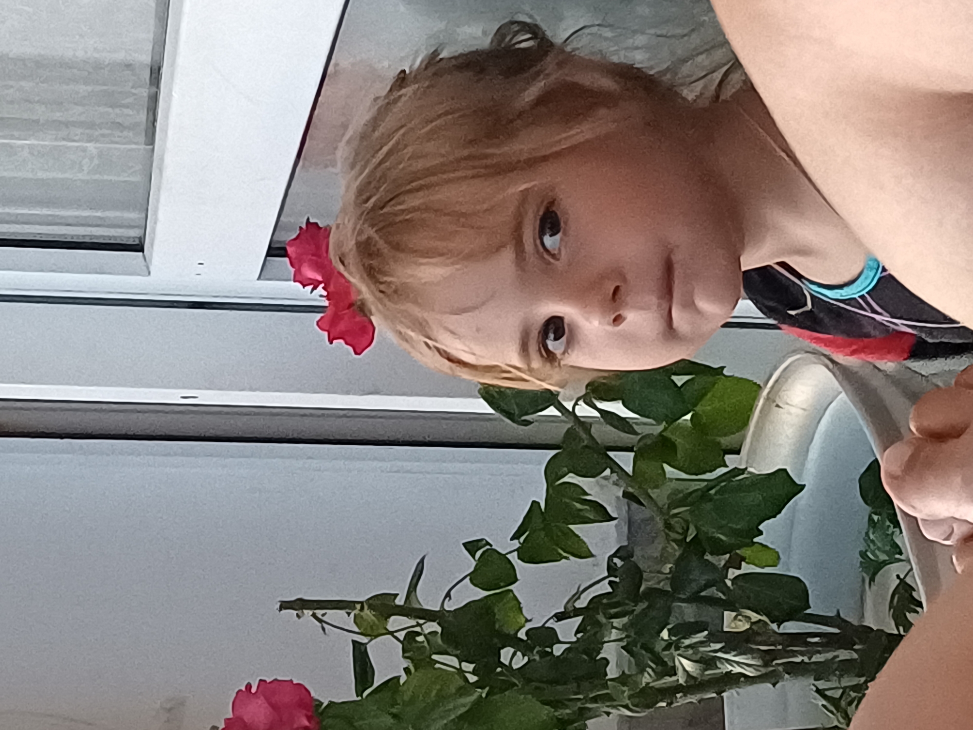 Sunset, roses, and beachside moments in Sochi