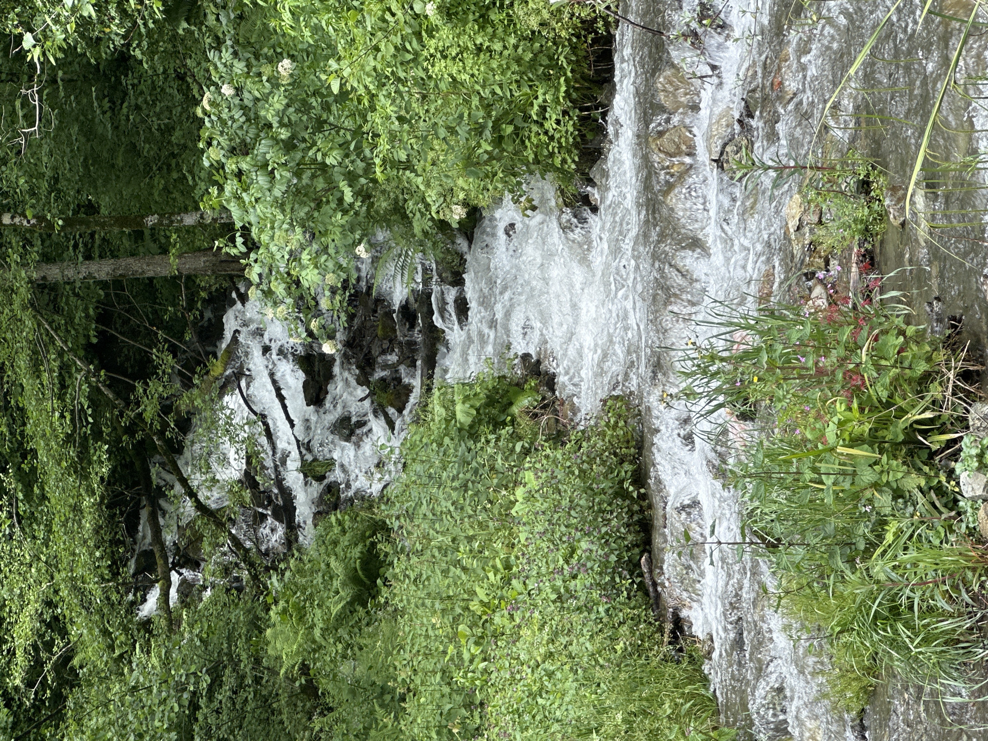 Tourist captures scenic moments in Krasnaya Polyana mountain resort