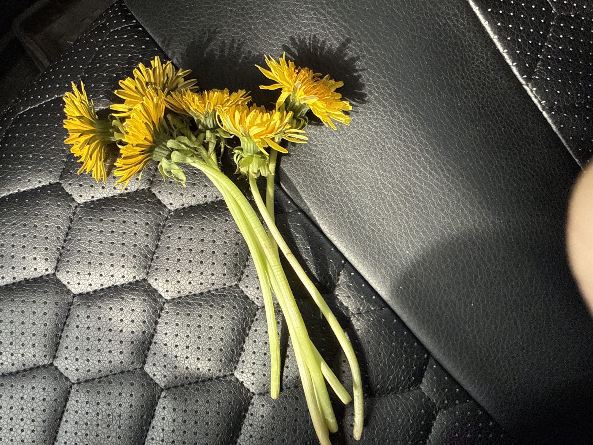 Ordinary moments captured in Moscow: flowers and pedestrians