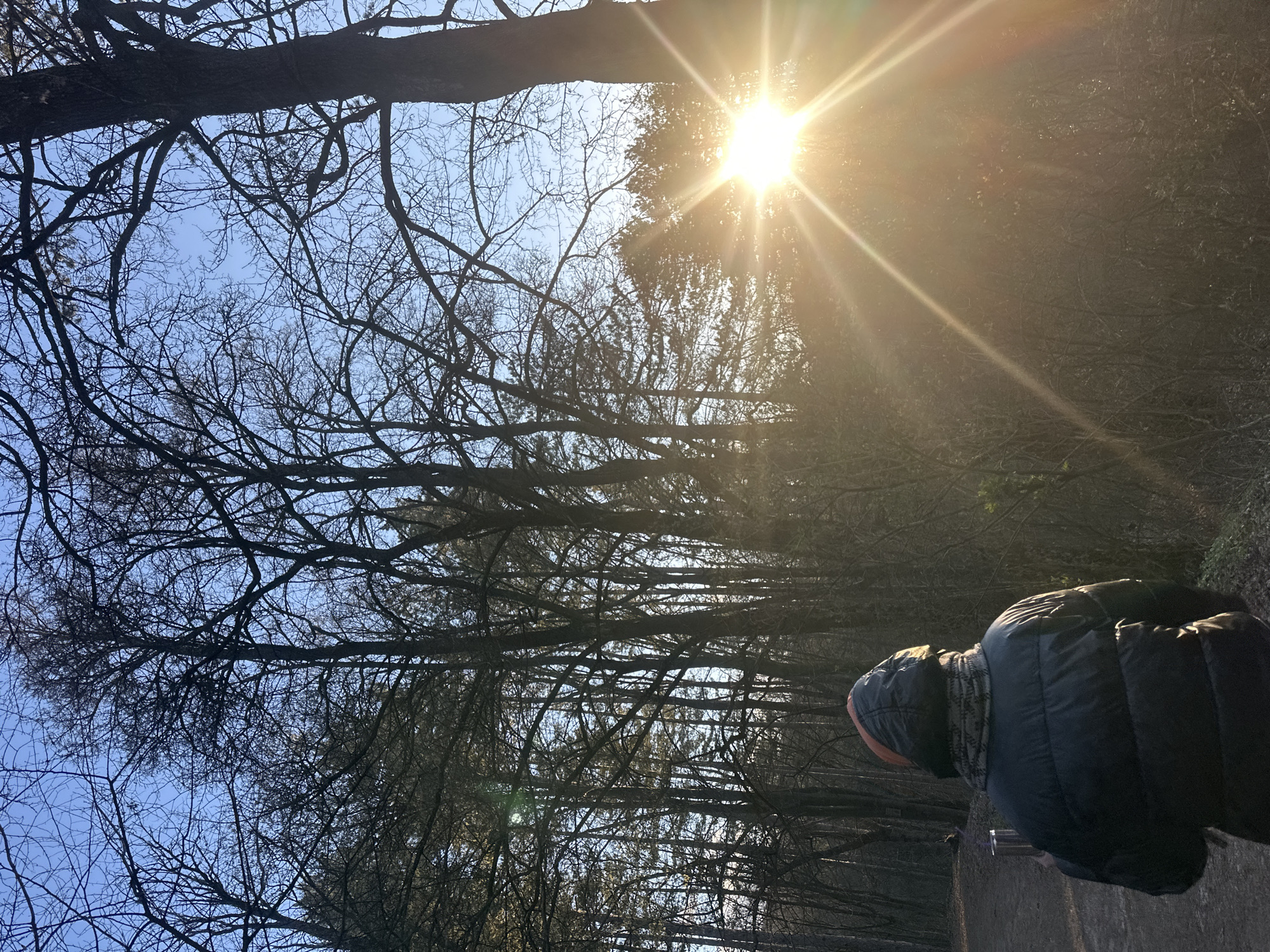 Person in winter clothing photographed on path in Bankya