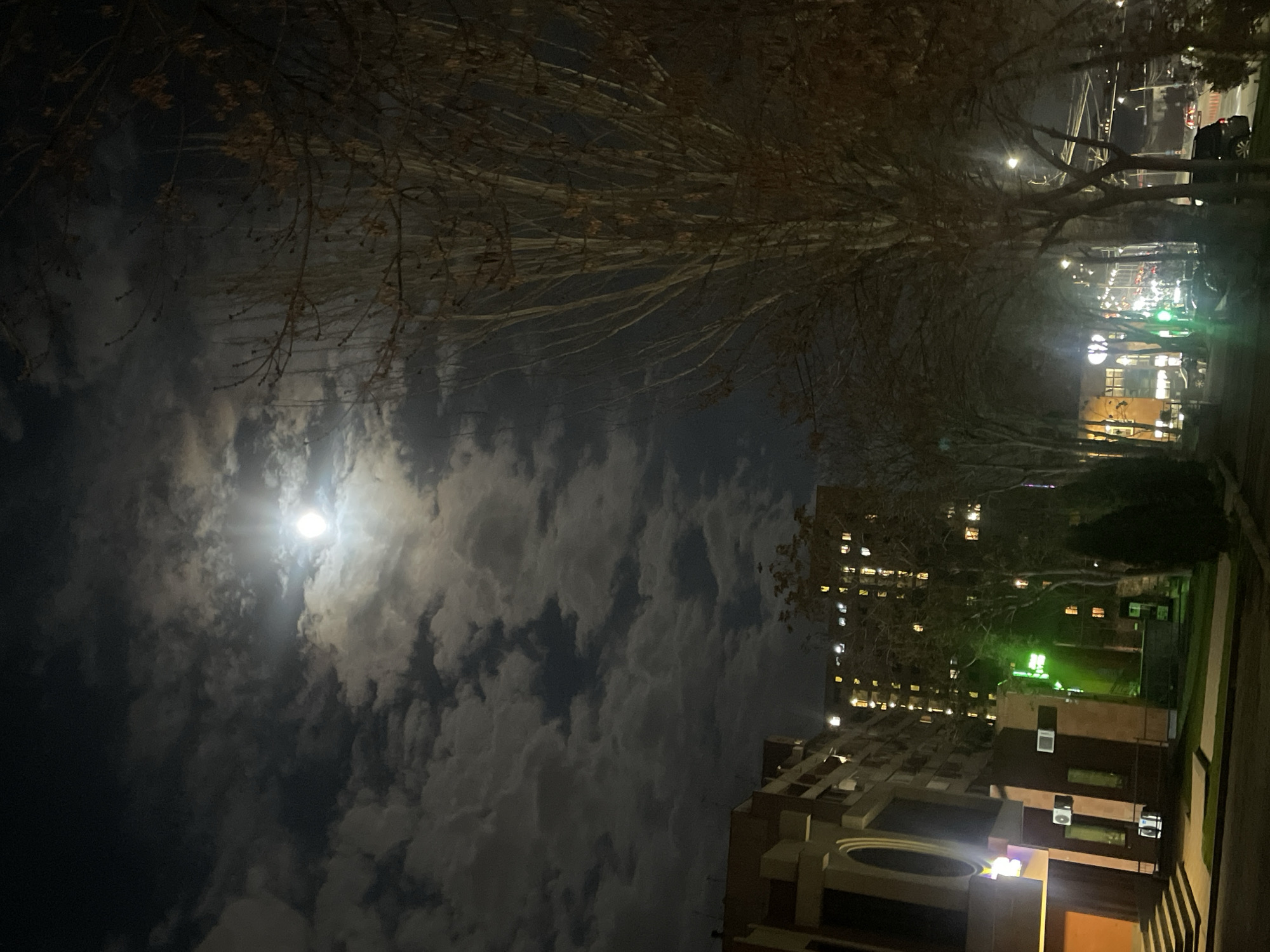 Spring night moon and blossoms observed across Yerevan