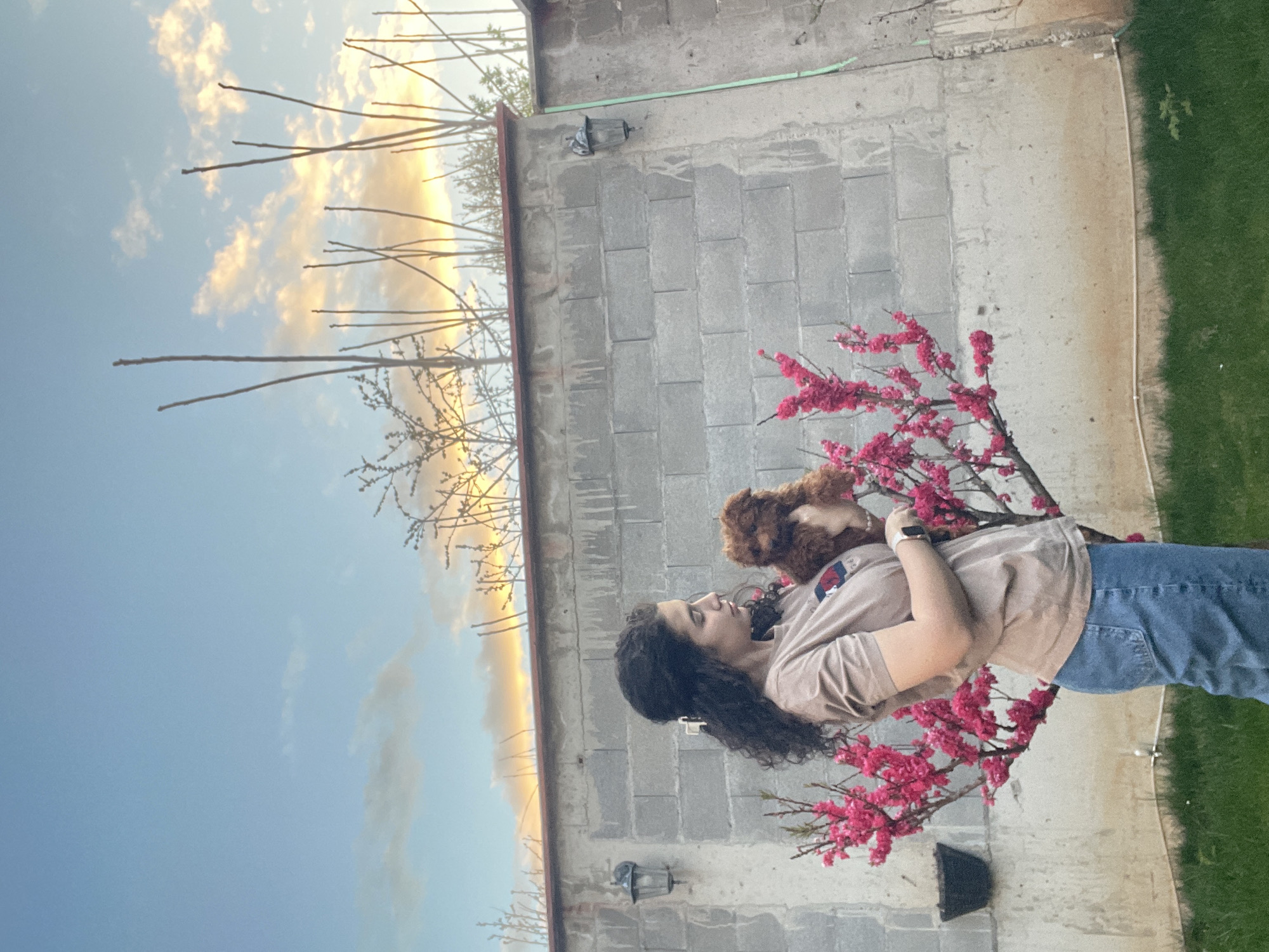 Woman with dog spotted near pink flowering tree in Sofia