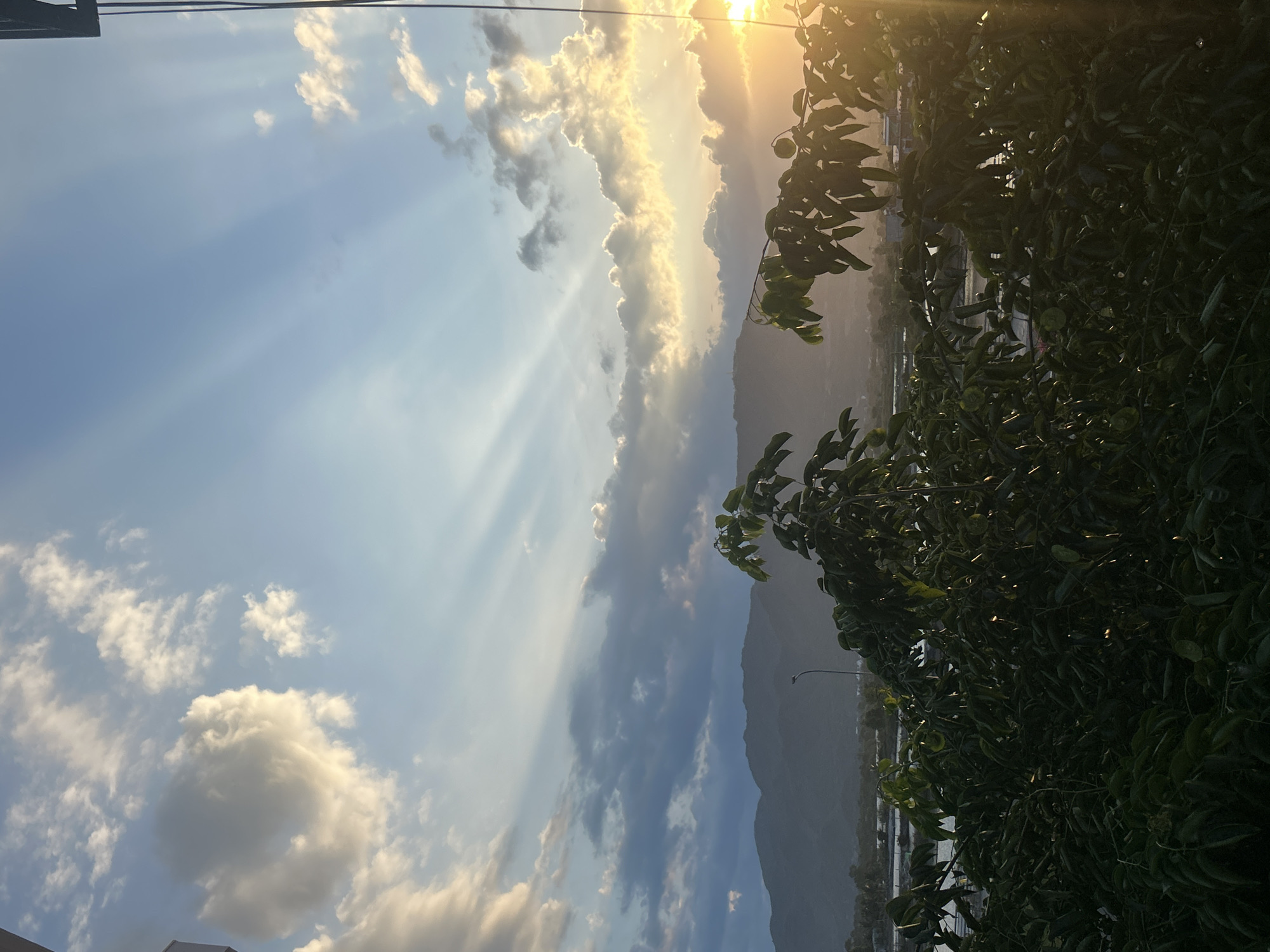 Morning light and celestial themes in Nam Nha Trang Ward