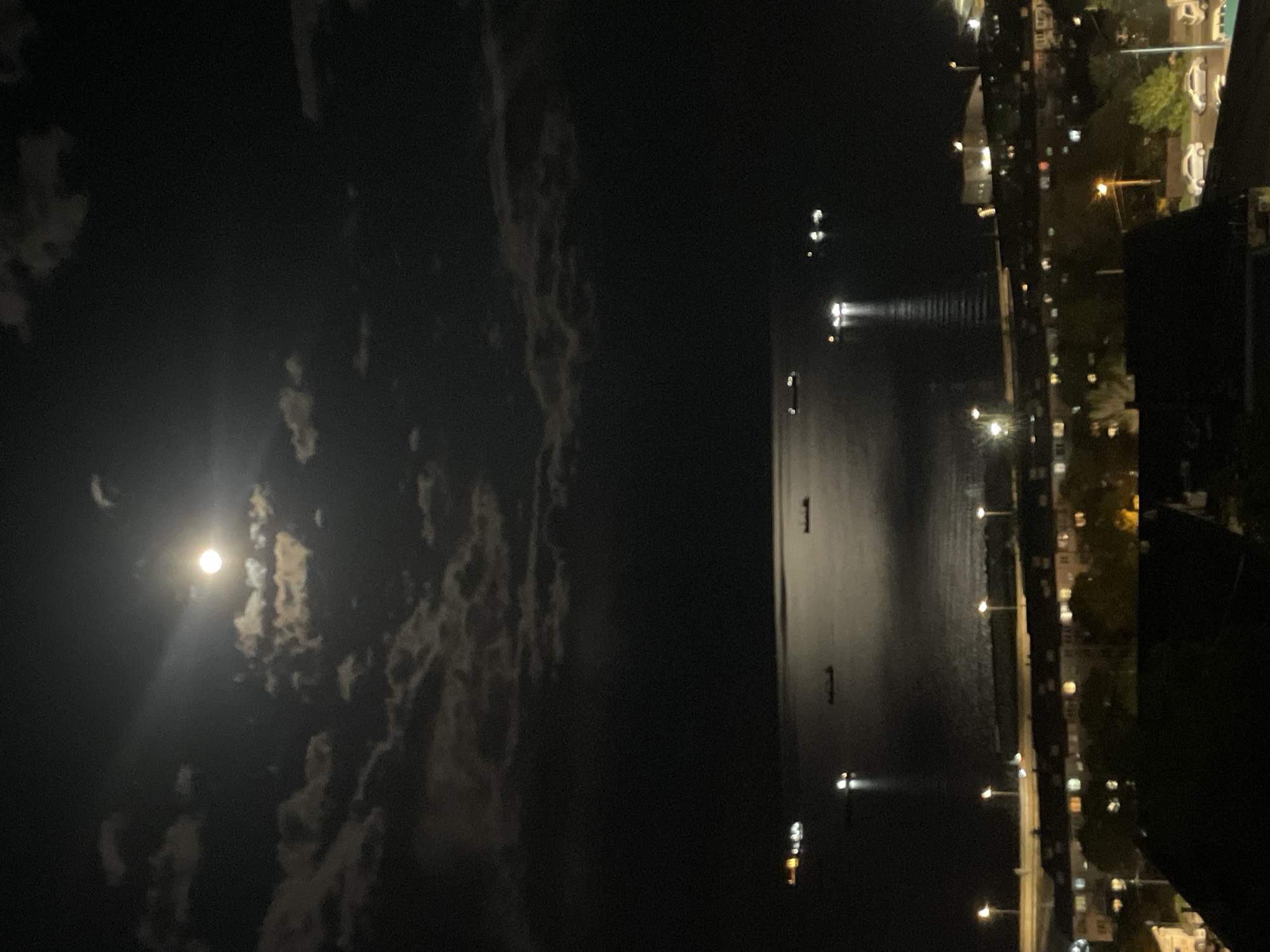 Moonlit night scene observed over Vladivostok bay coastline