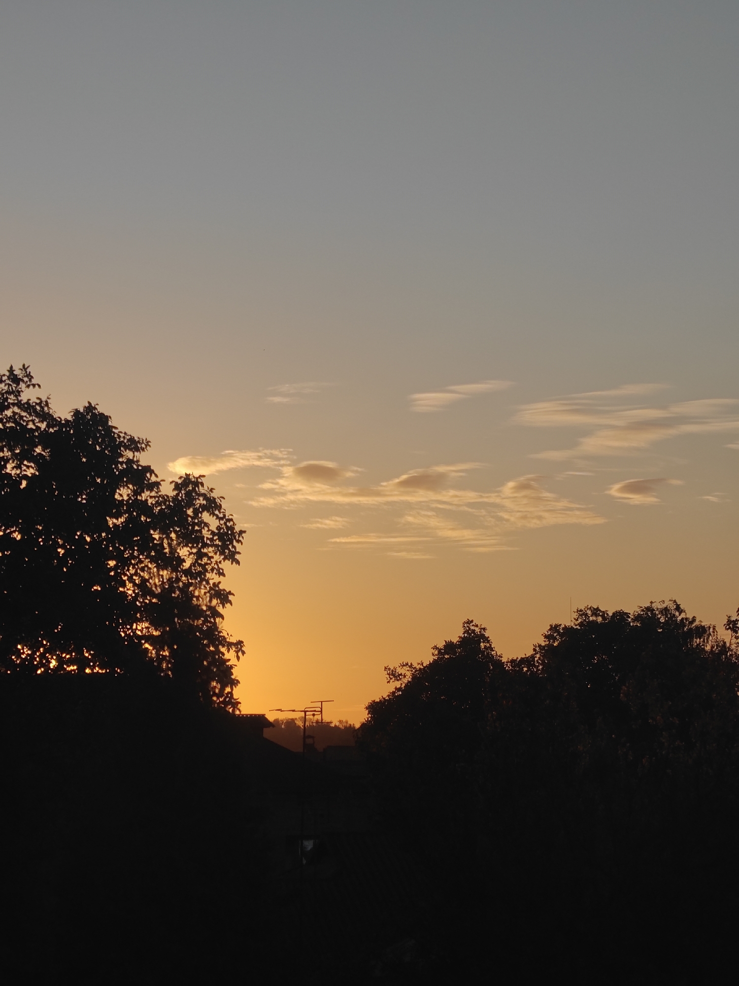 Evening pet care and sunset documented in Hadiach, Ukraine