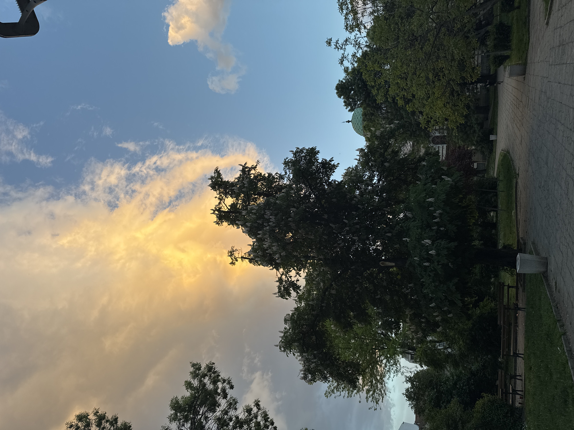 Sunset casts orange glow over Sofia street scene