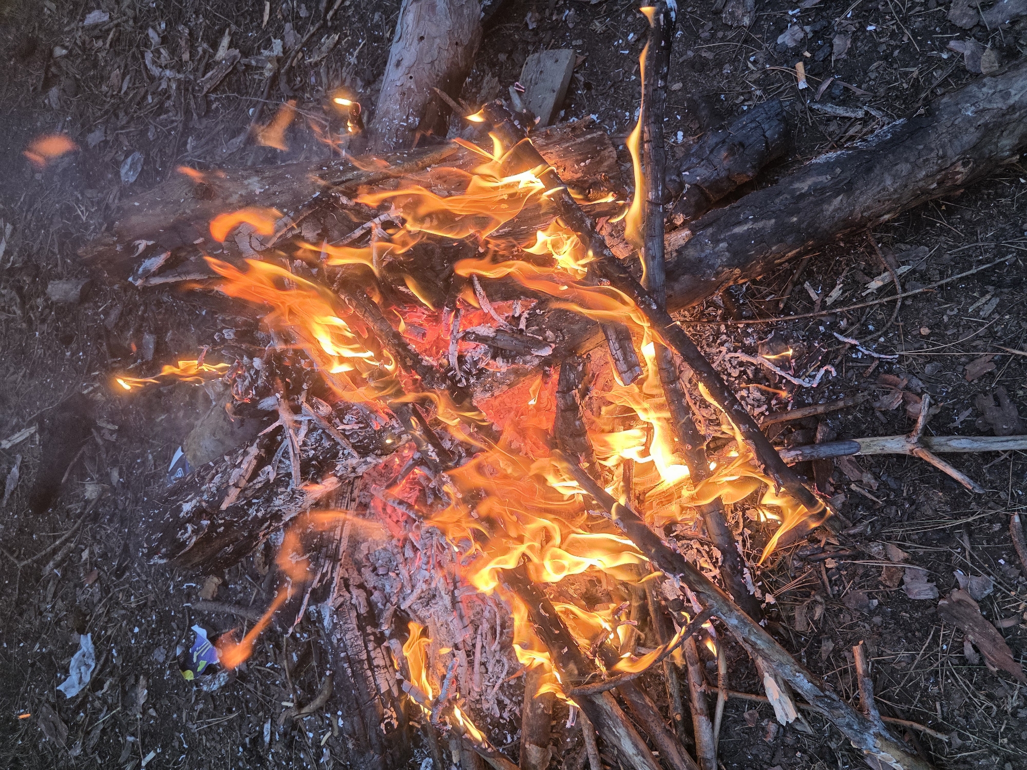 Bonfire burns in wooded area near Gorna Oryahovitsa, Bulgaria