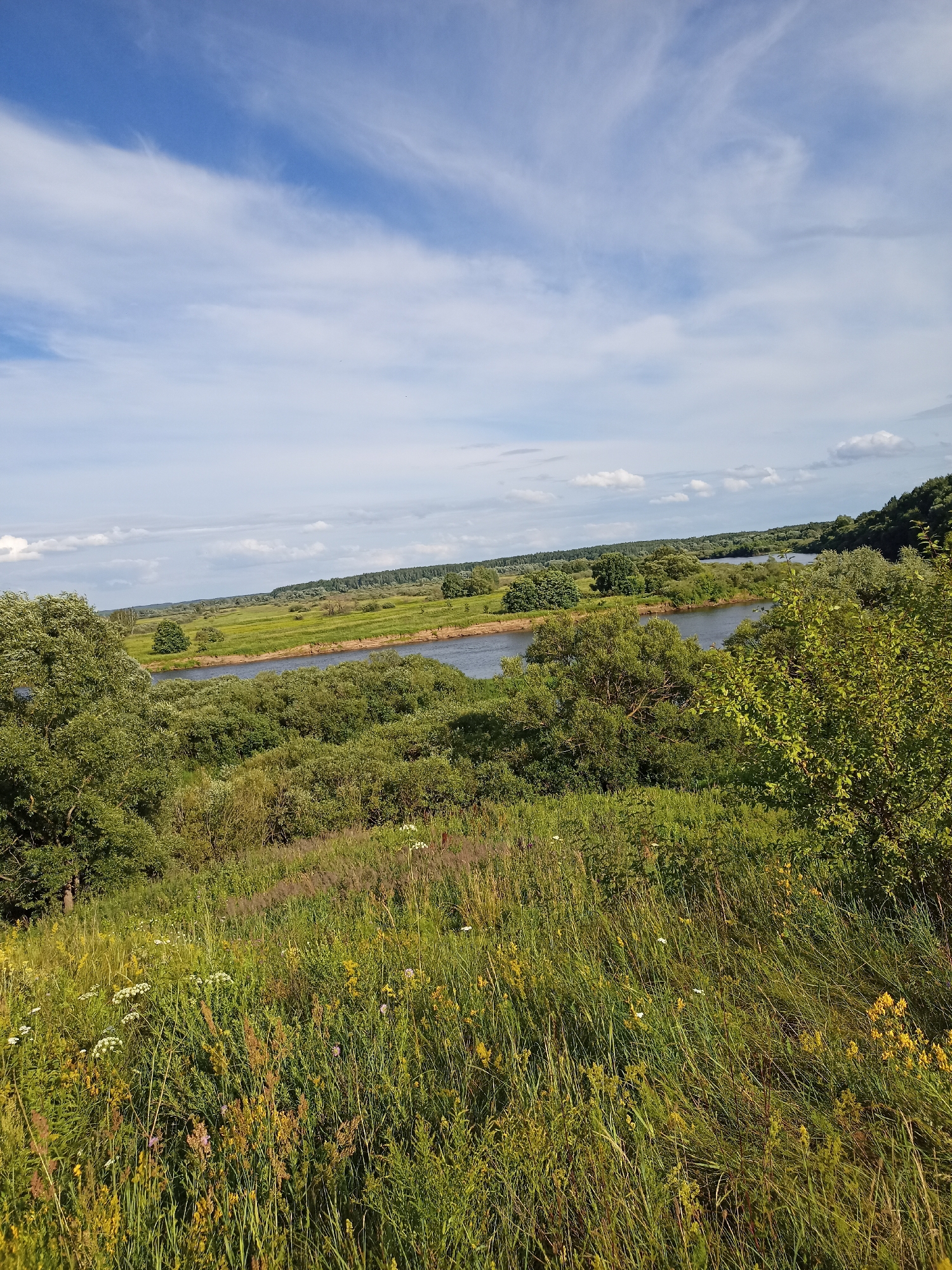 Wildflowers, a wide river, and a roadside gazebo in rural Belarus