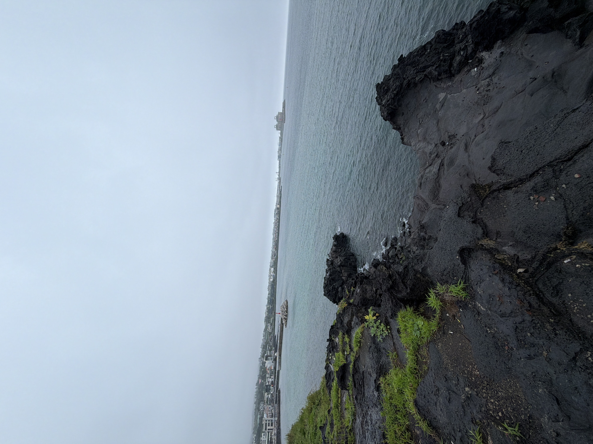 Jeju's volcanic coastline on a grey, breezy morning
