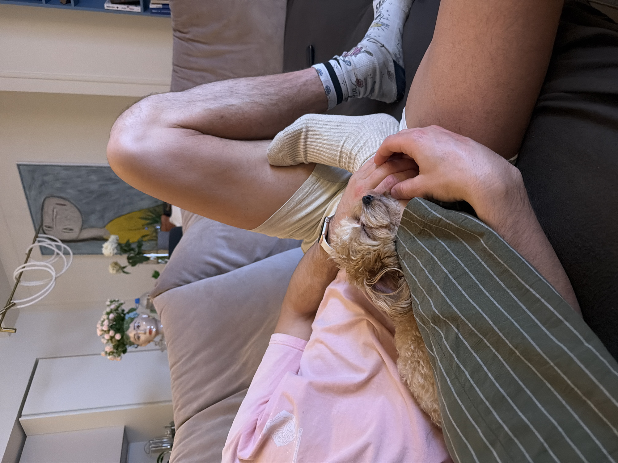 Person relaxes with small dog on Moscow sofa