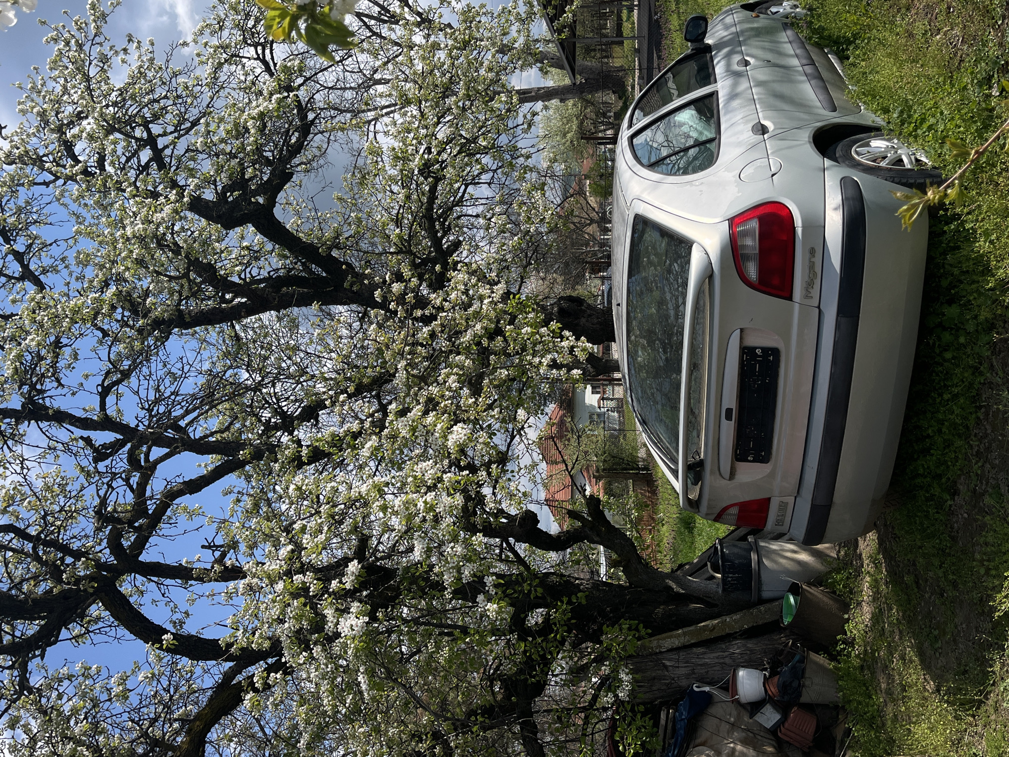 Car parked beside flowering tree in Bulgarian village