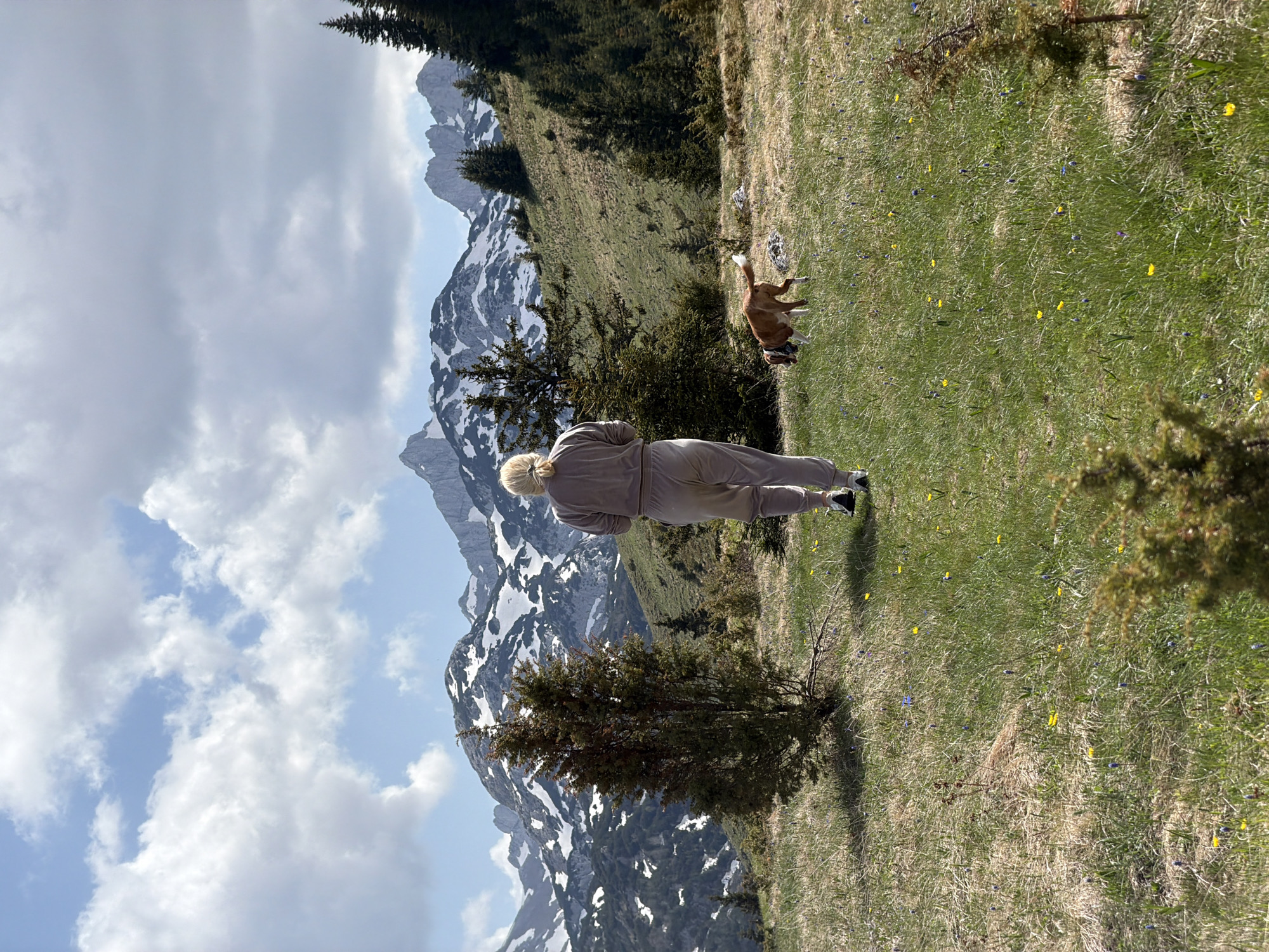Woman enjoys mountain wildflowers with dog in Montenegro