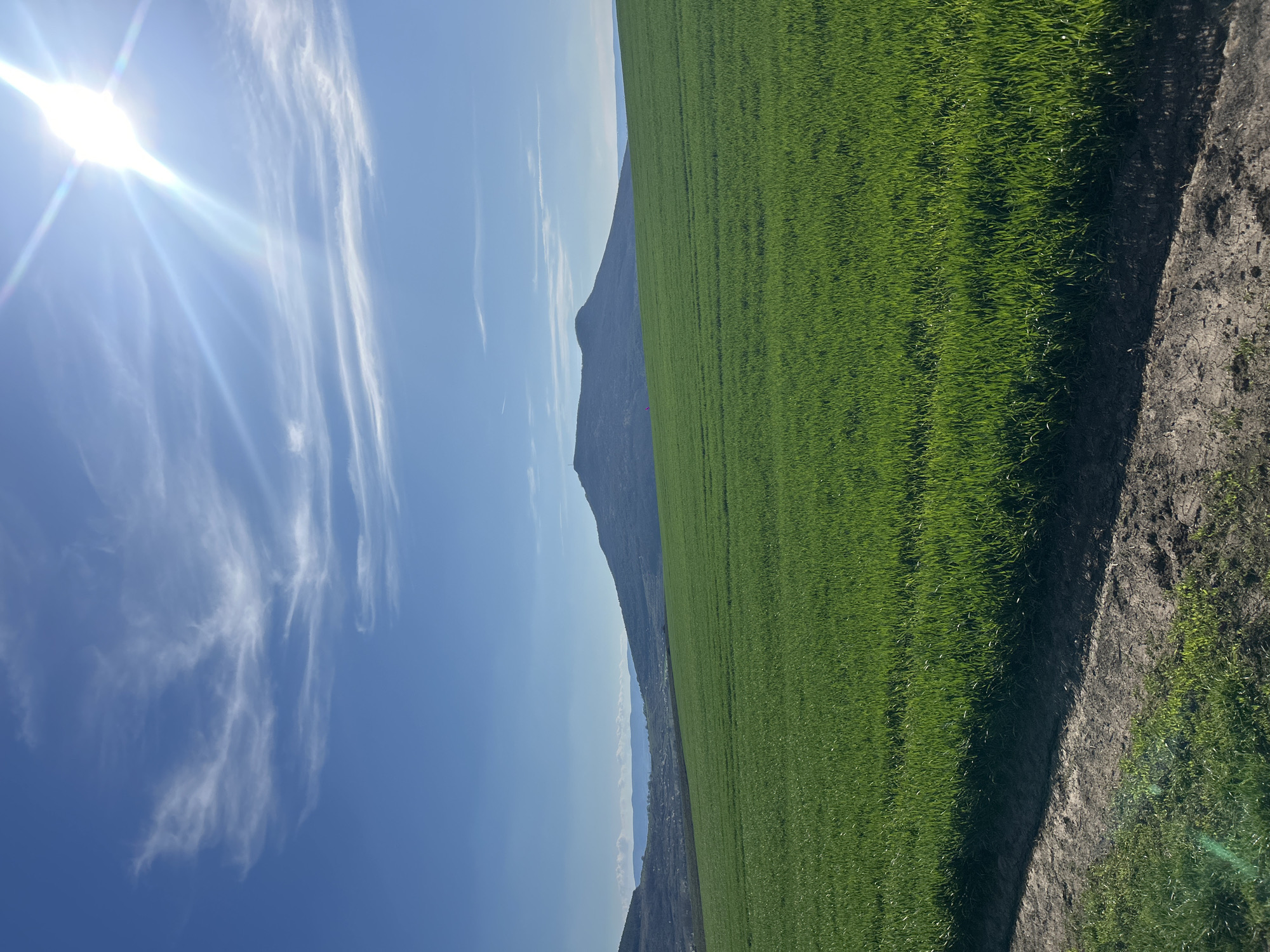 Rural agricultural landscape observed in Cherencha, Bulgaria