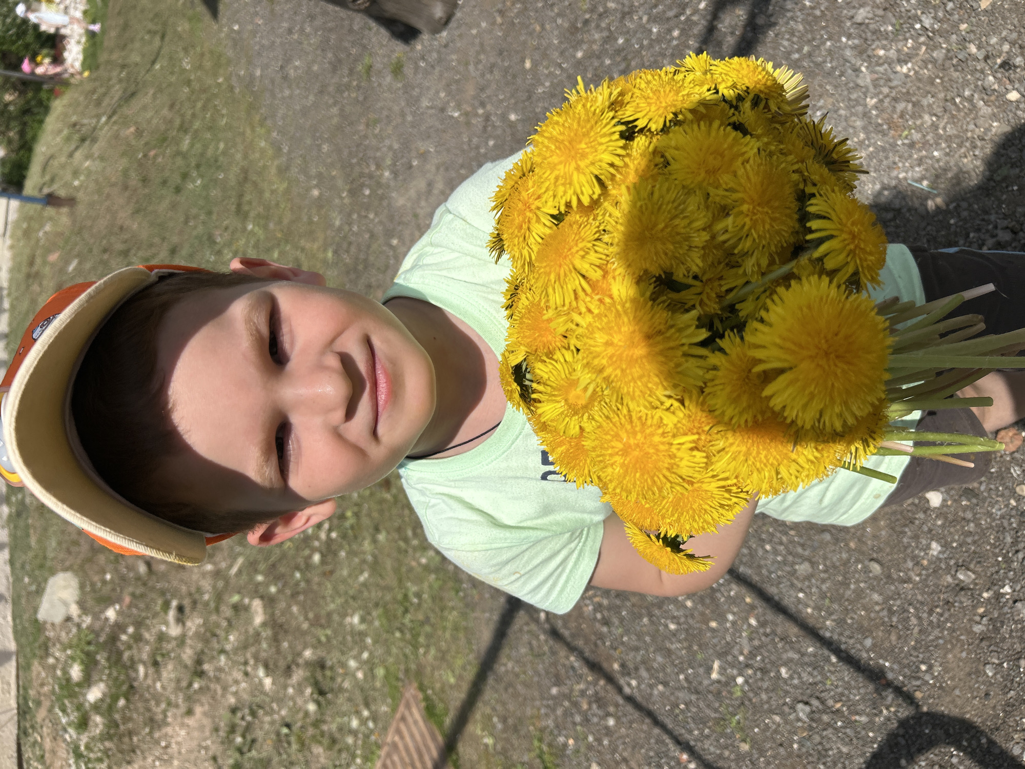 Child gathers dandelion bouquet in Noviy, Russia yard