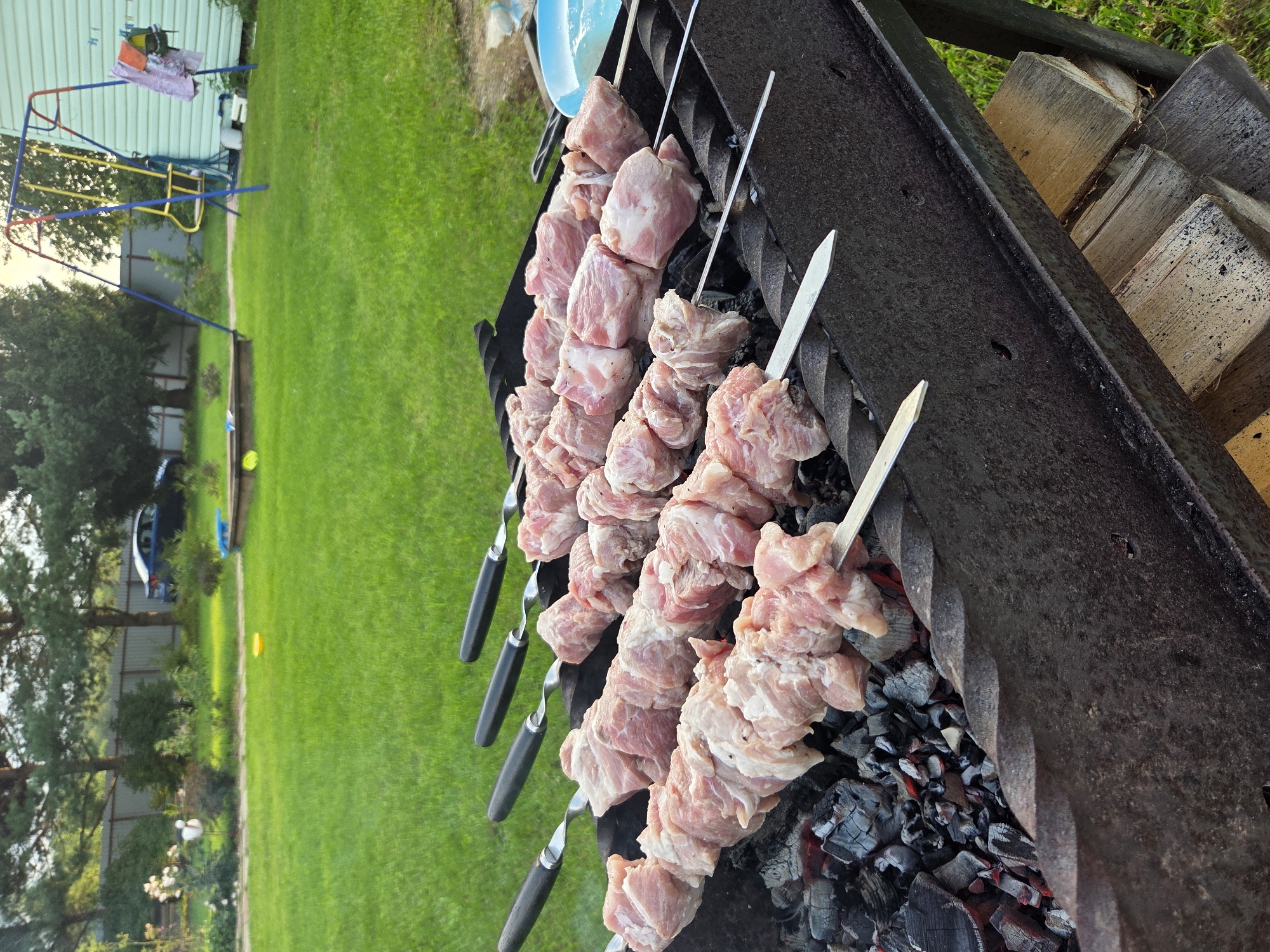 Backyard summer afternoon in Frolovo: grilling, snails, and roses