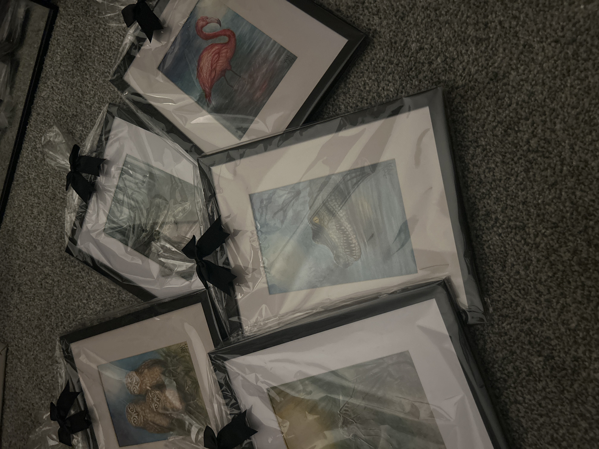Wildlife artwork collection documented in Cape Coral, Florida