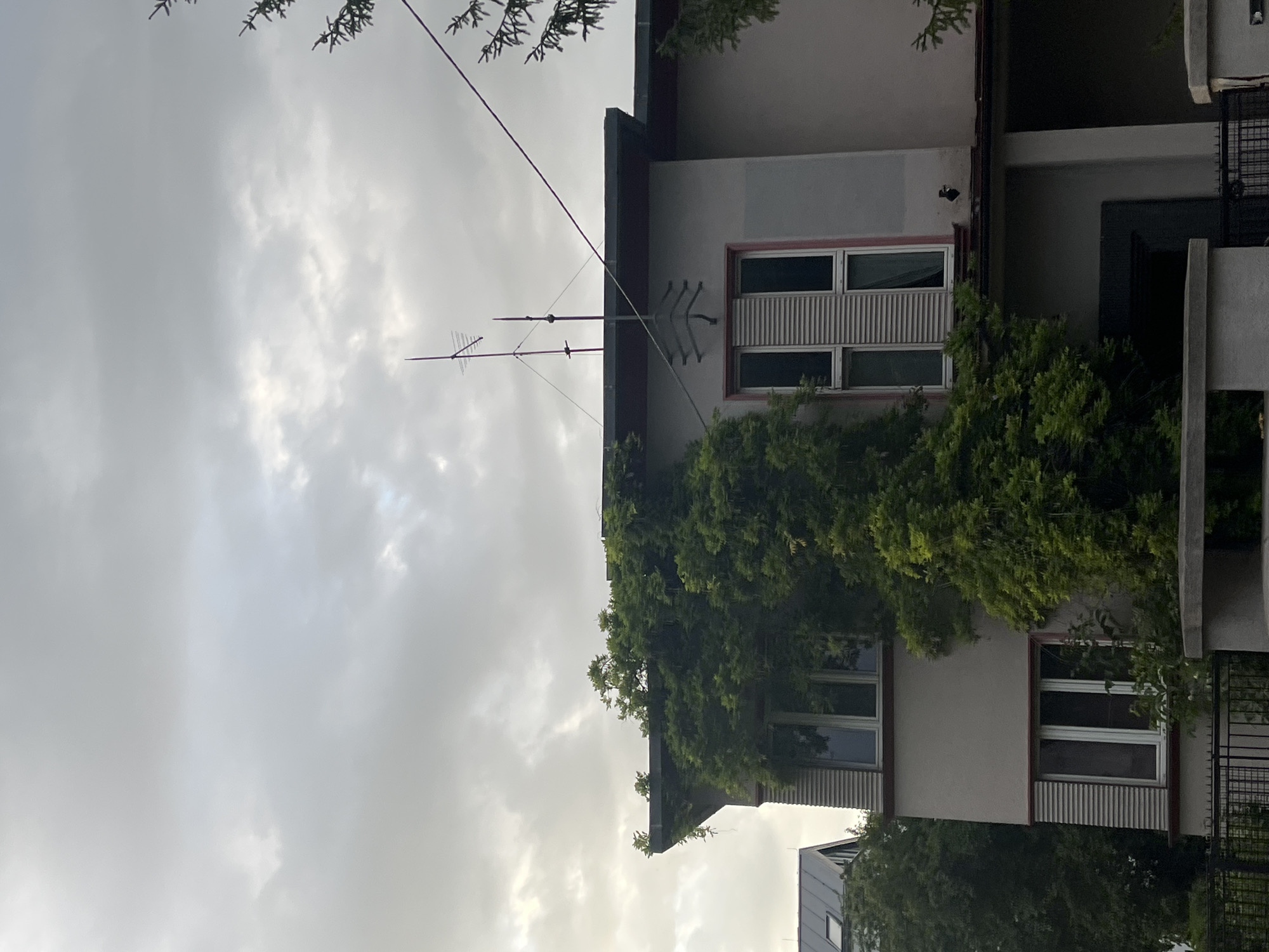 Summer evening on quiet streets: hydrangeas, stairplay, and moody skies