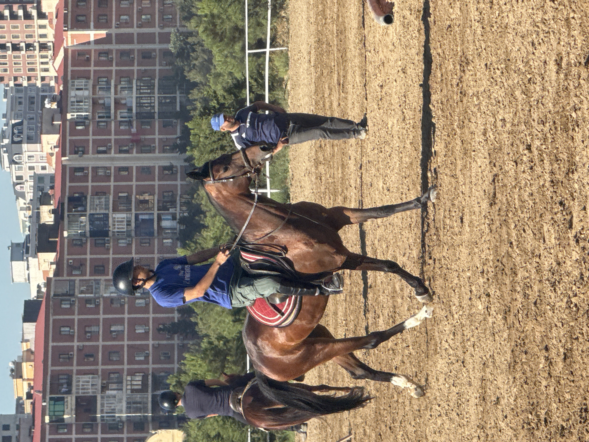 Morning horse riding session at a Baku equestrian arena