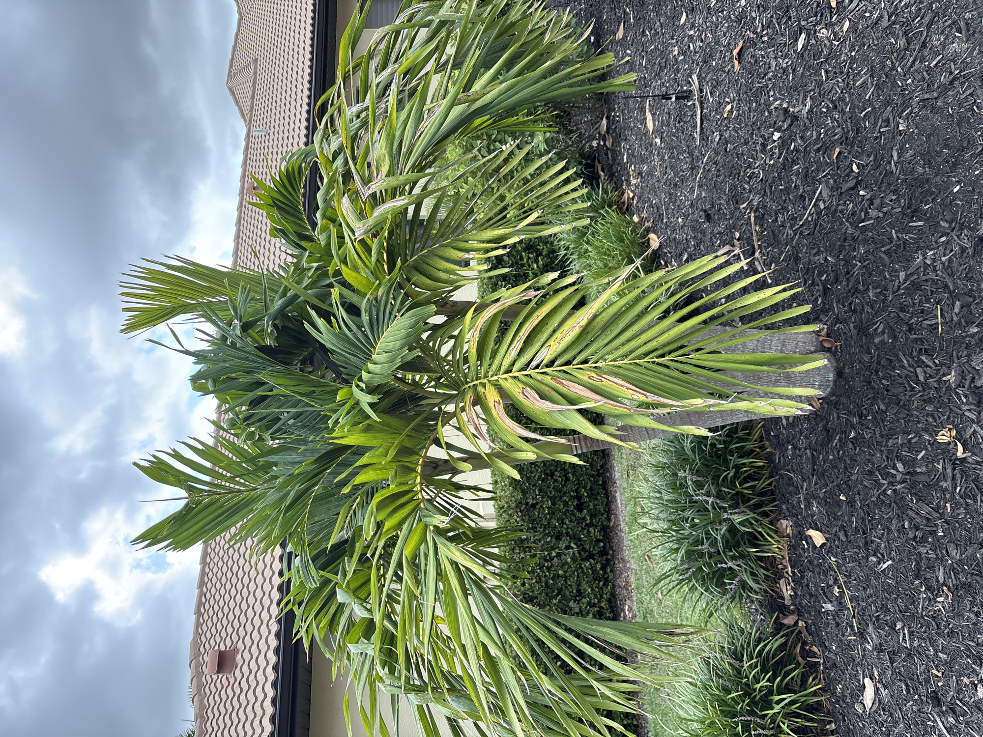 Lakewood Ranch home exterior and garden landscaping, July 2026