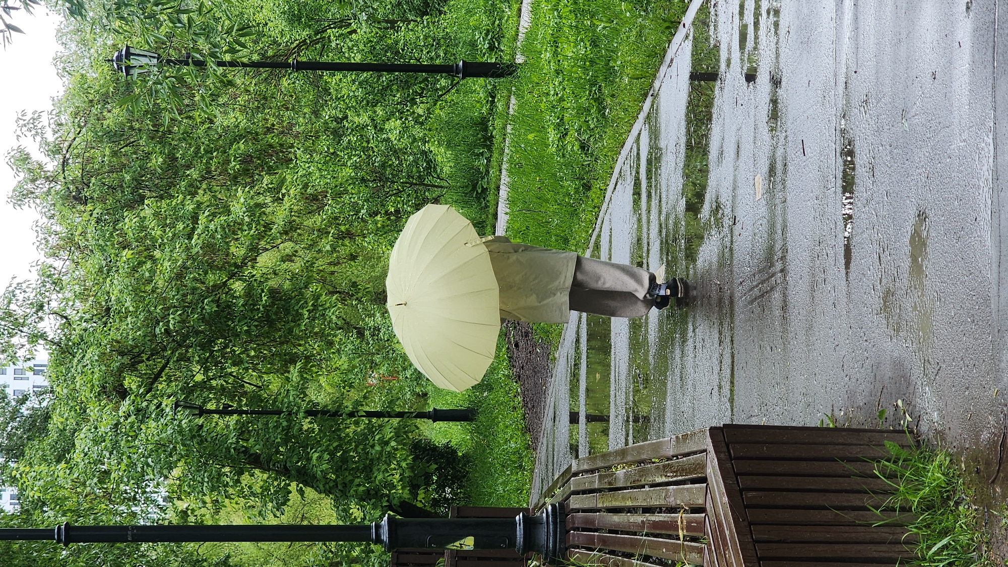 Morning rain shower documented across Moscow park by witnesses