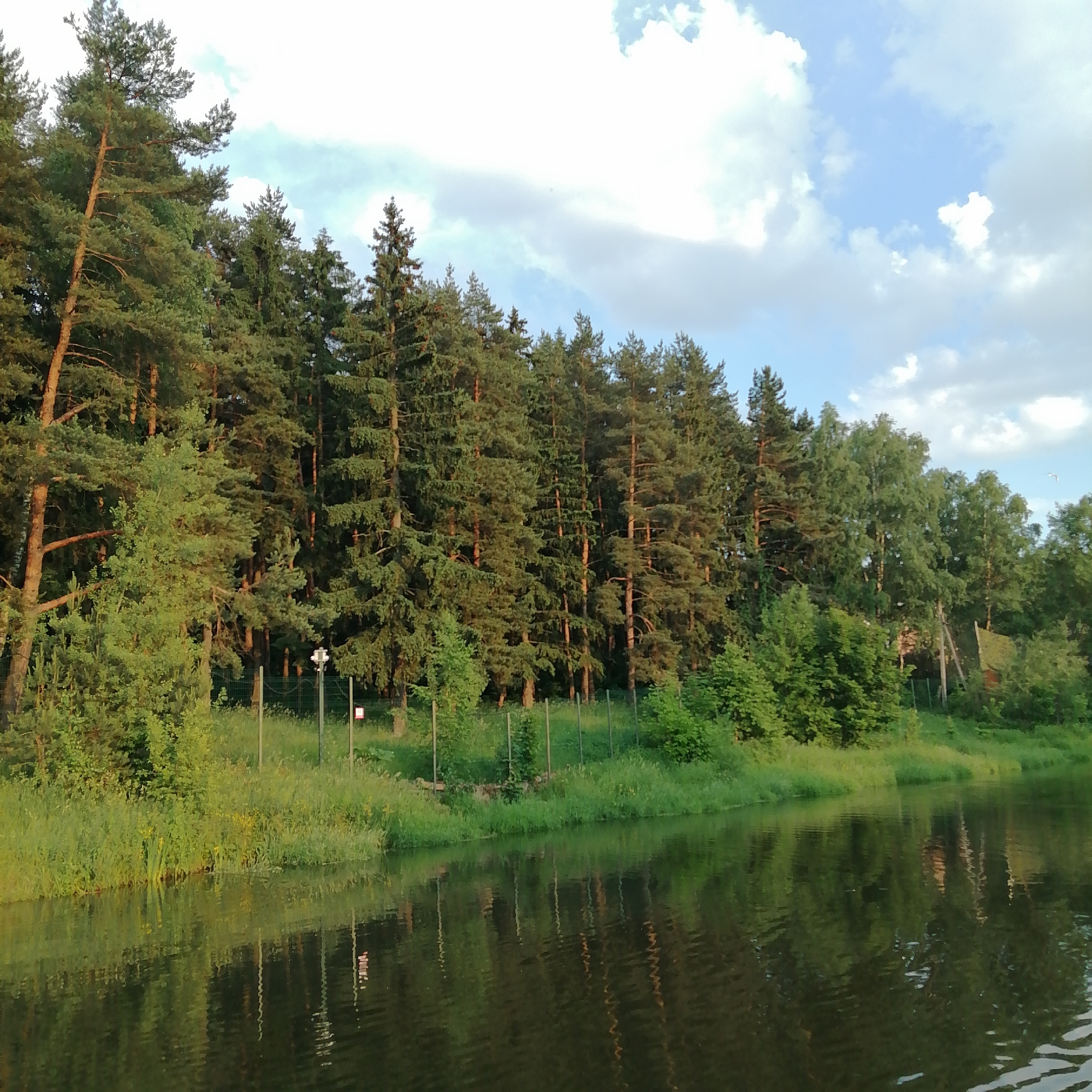Nature and urban scenes documented in Trubacheyevka, Russia