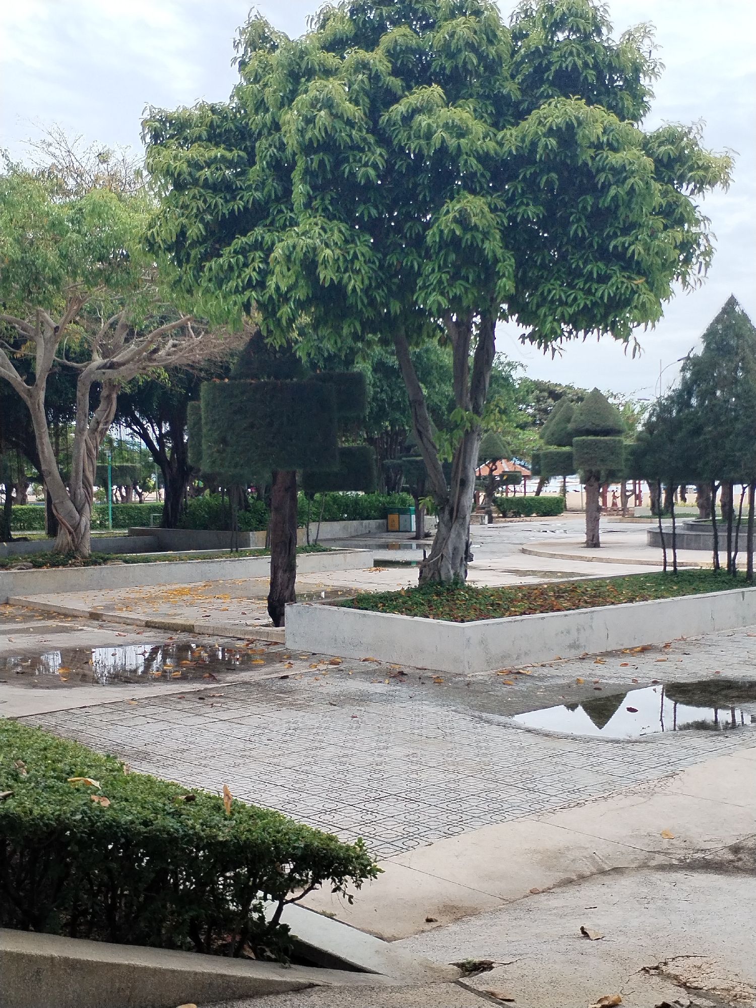 Early morning scenes documented across Nha Trang Ward, Vietnam