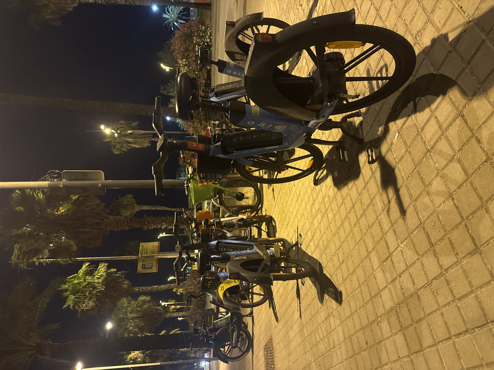 Barcelona waterfront boulevard on a summer night
