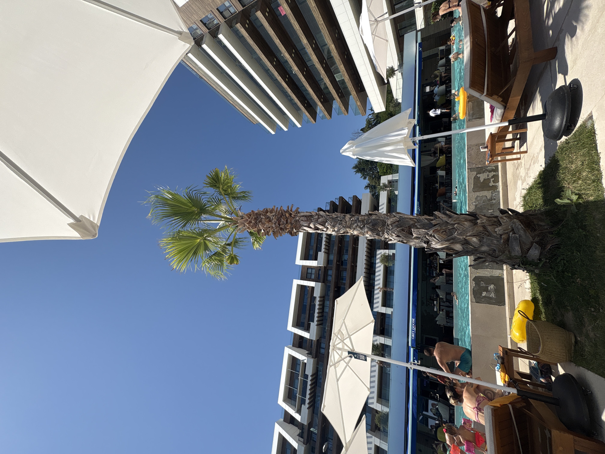 Sunny resort day — pool, ocean views, and palm-lined grounds