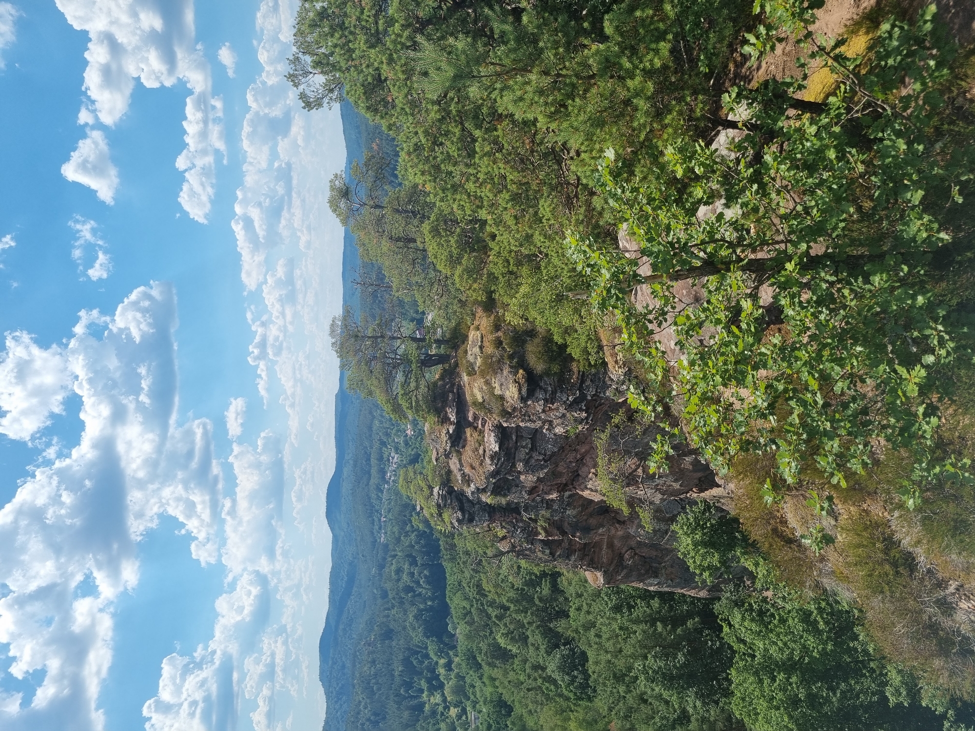 Sandstone cliffs, forest trails, and valley views in Dahn