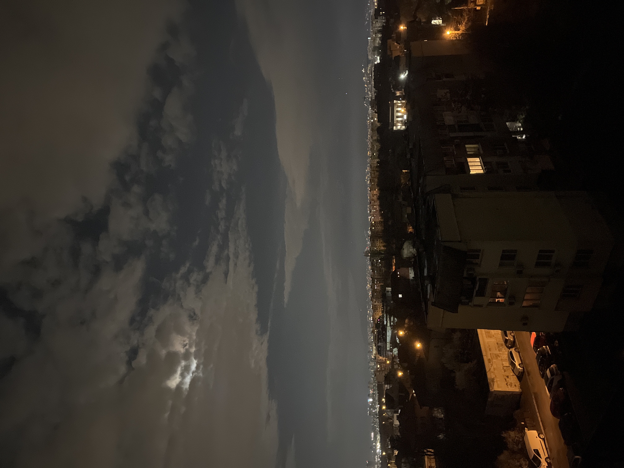 Spring blossoms bloom on Sofia rooftop under cloudy night sky