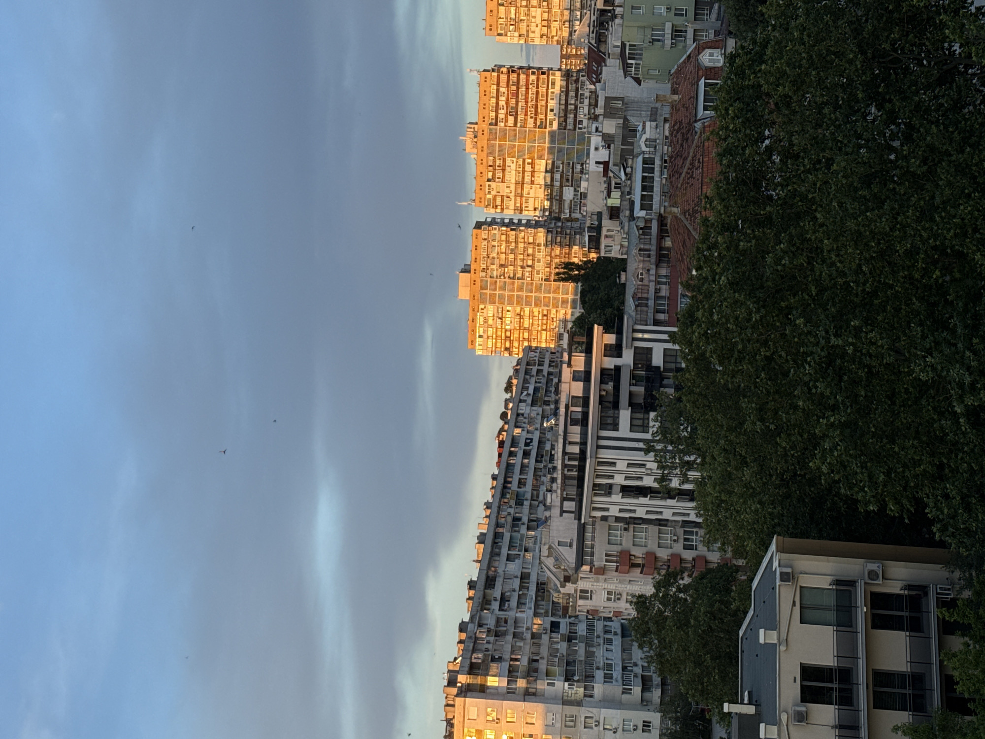 Evening walk with a white dog through Varna streets at dusk