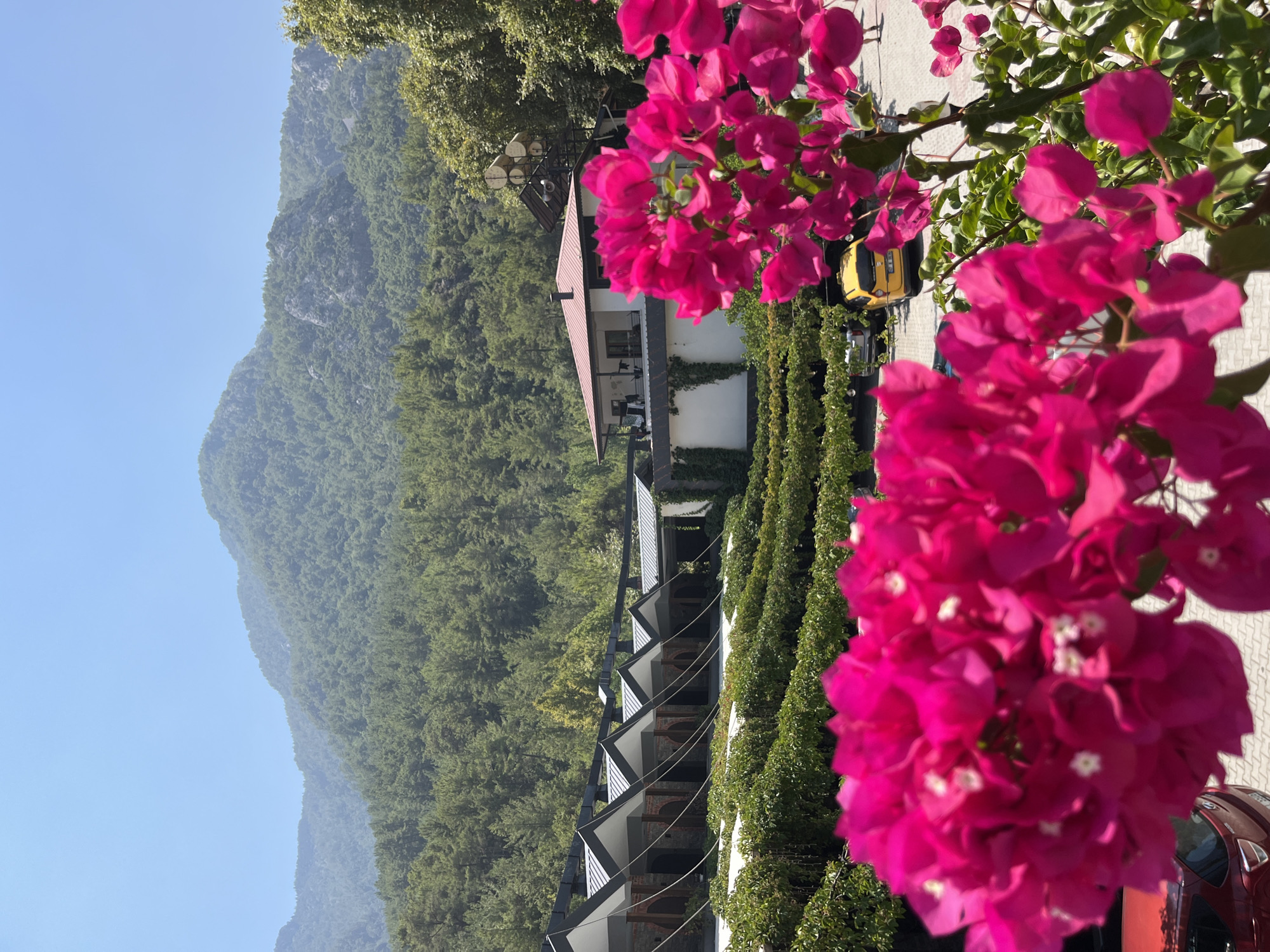 Resort life at the base of Alanya's green mountains