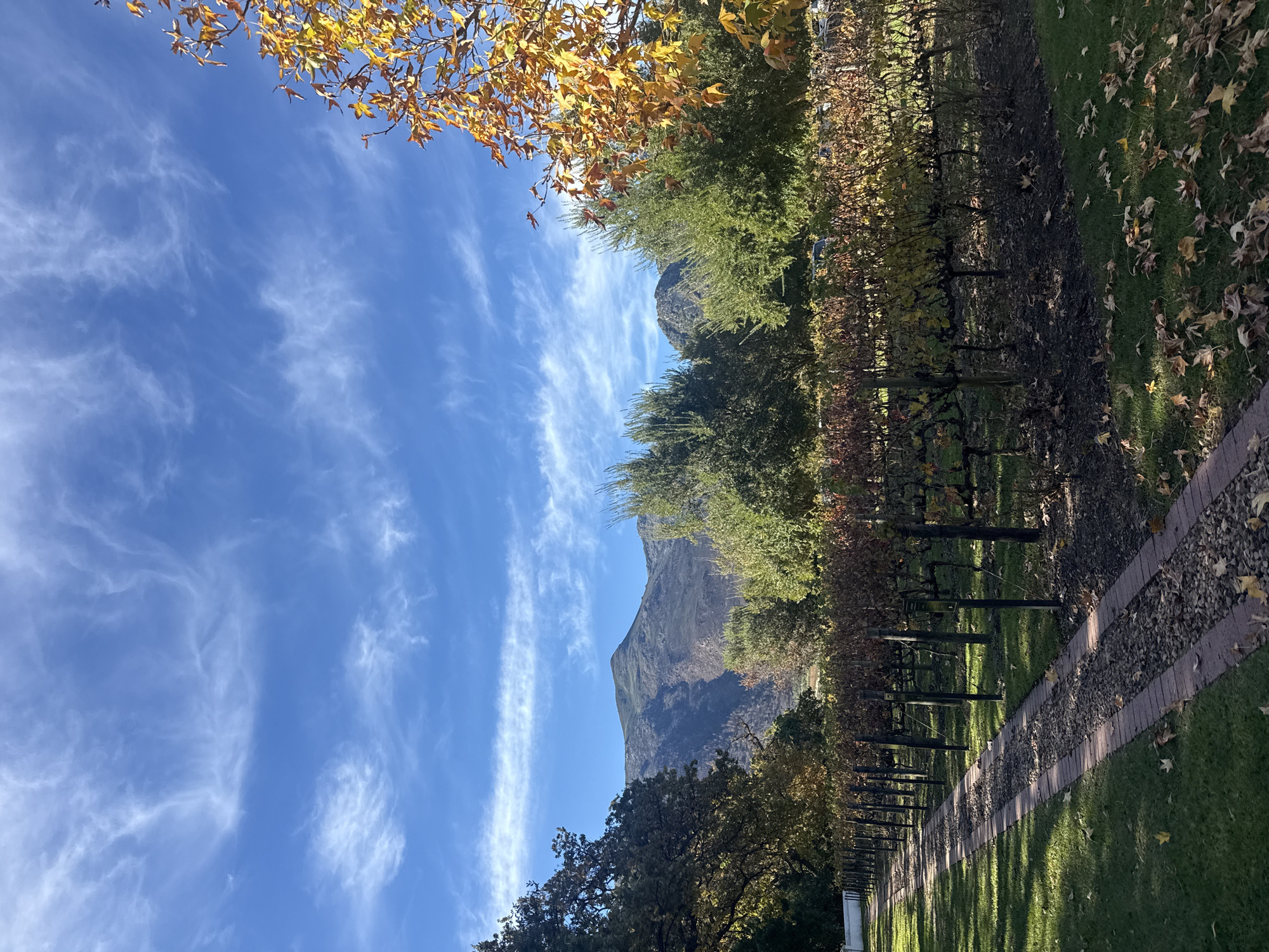 Six-minute walking tour documented across Stellenbosch wine region