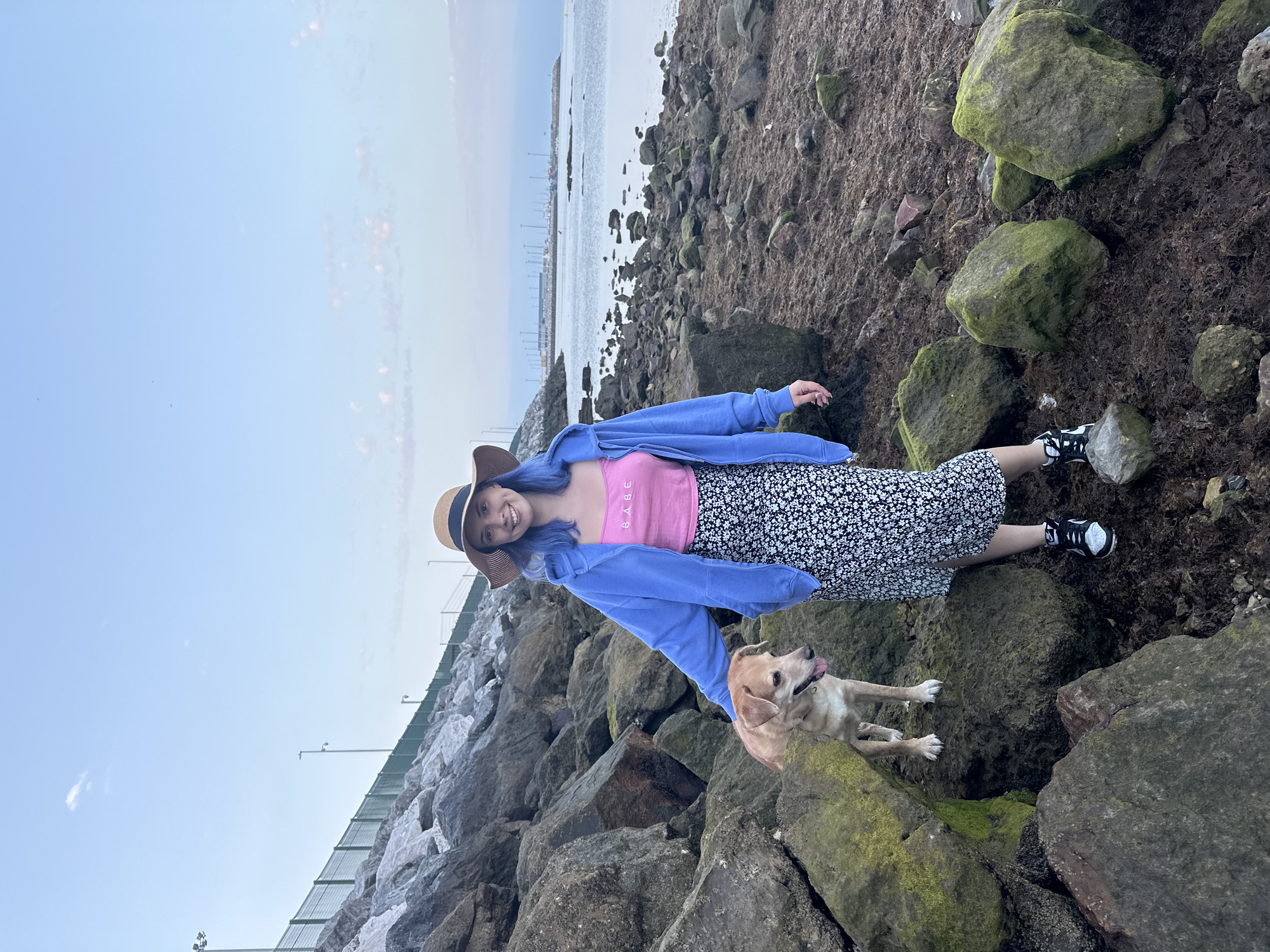 Evening beach exploration with dog documented in Gijón, Spain