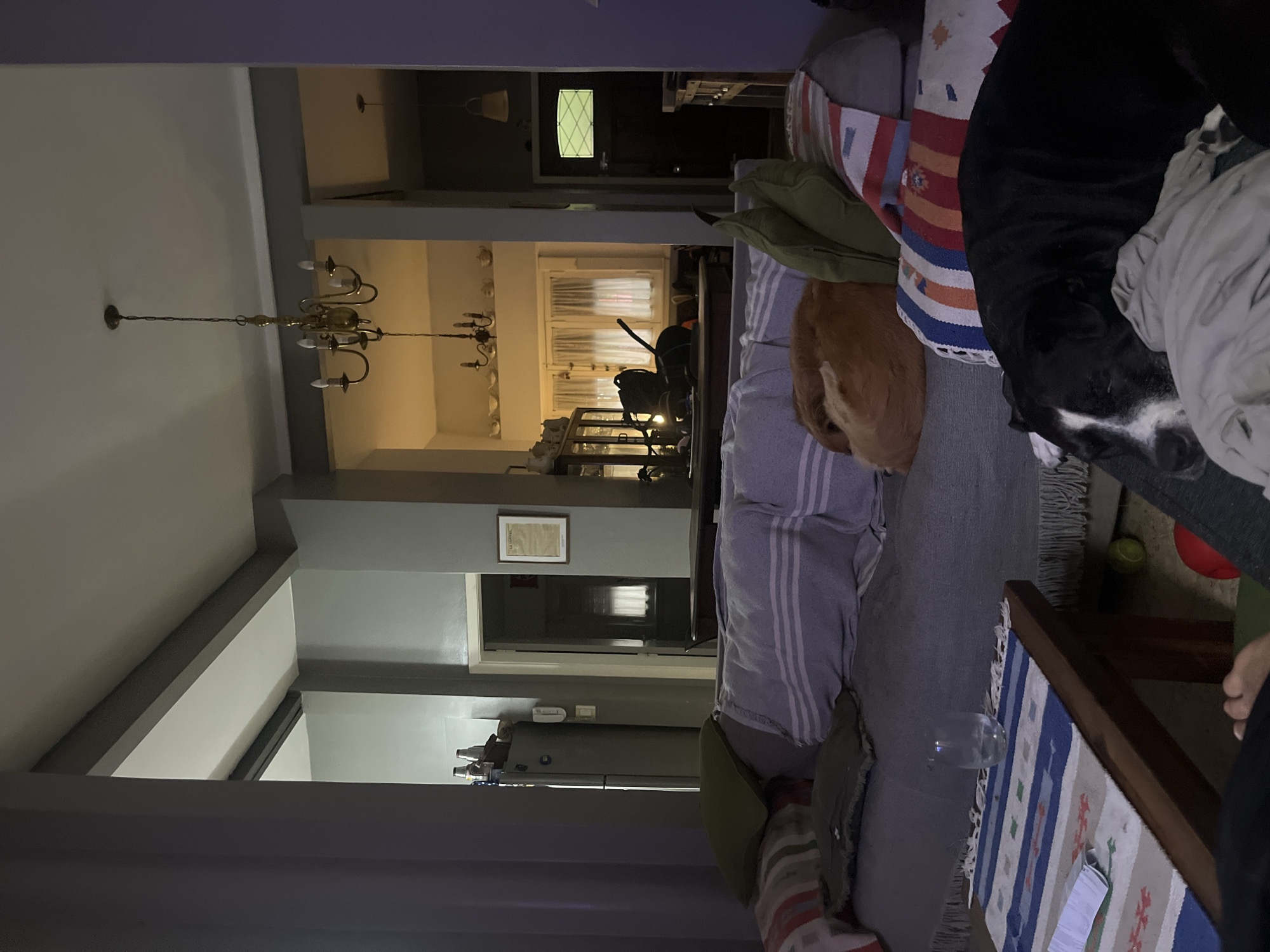 Quiet evening moments captured inside Avellaneda home