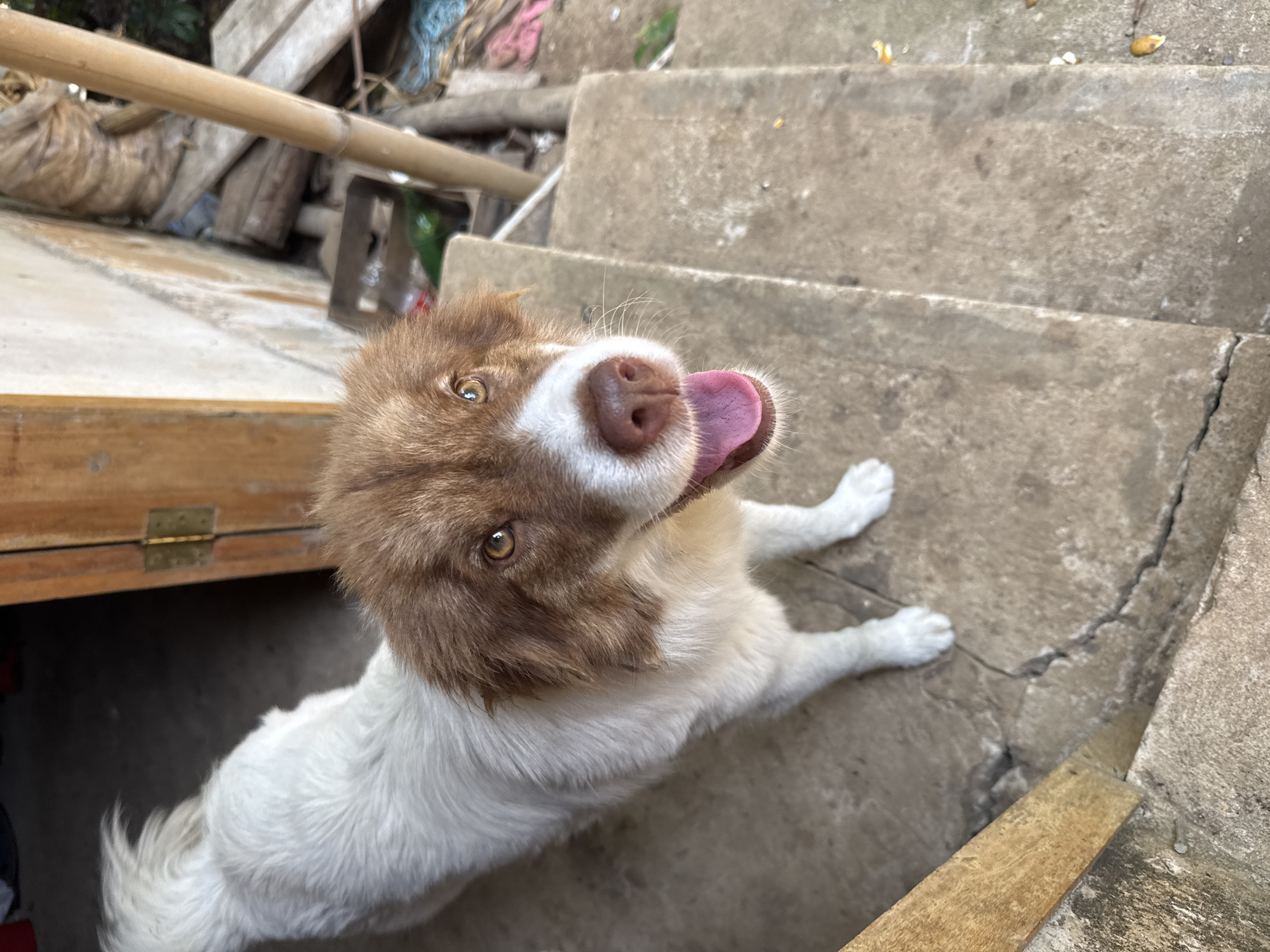 Daily life documented in rural Pinahuista, Mexico community