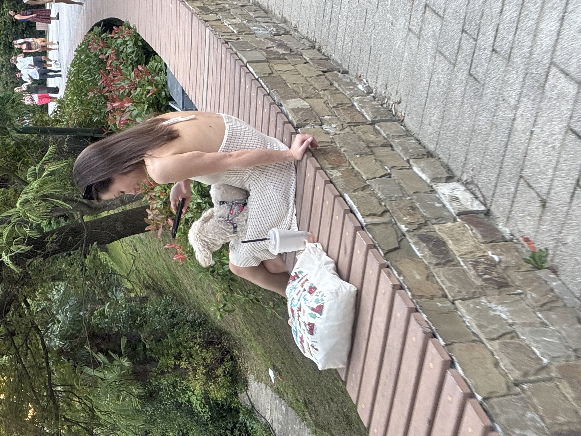 Afternoon in a Sochi park, waterfront, and gardens