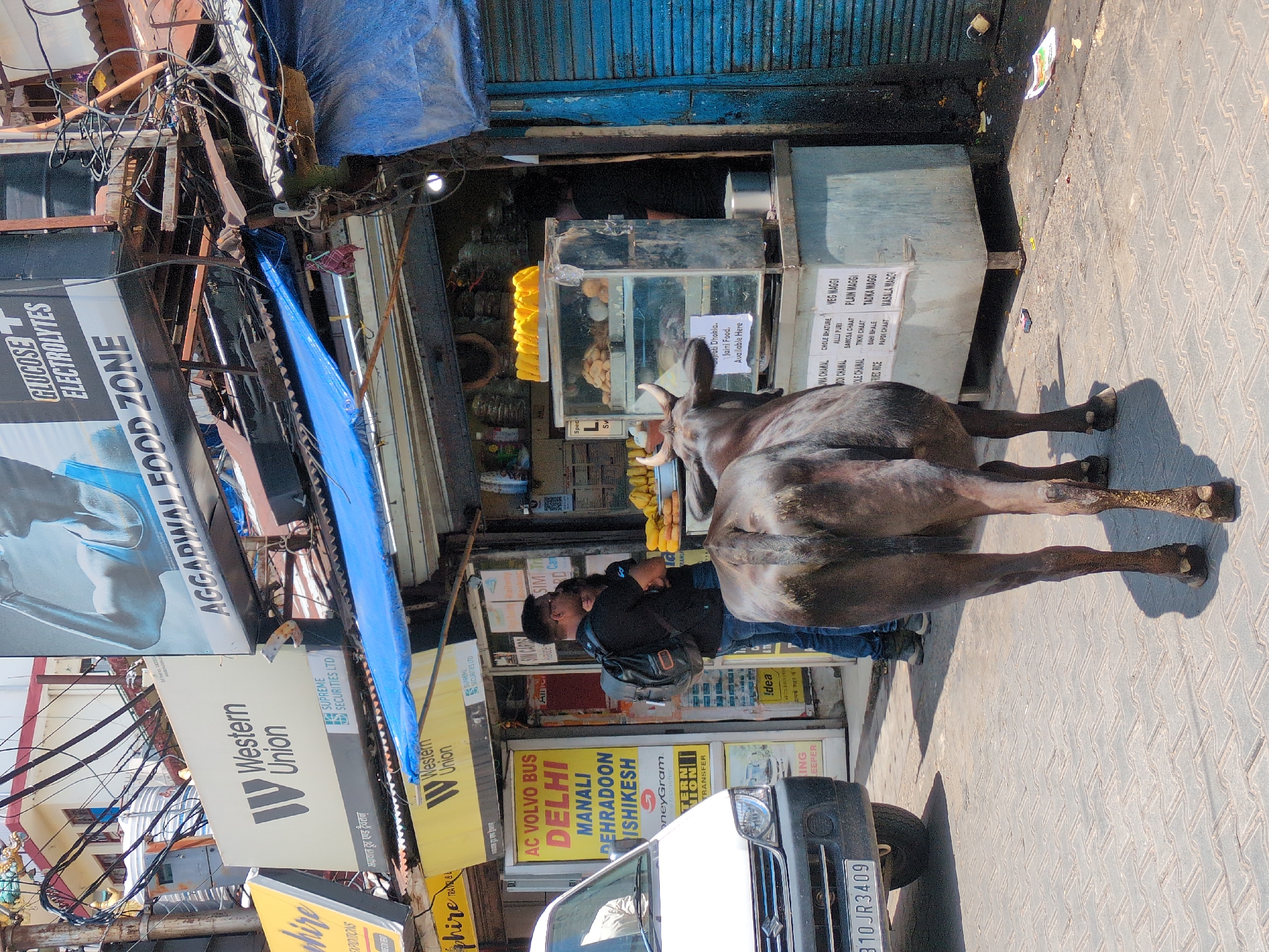 Tibetan Buddhist life and street scenes in Dharamshala