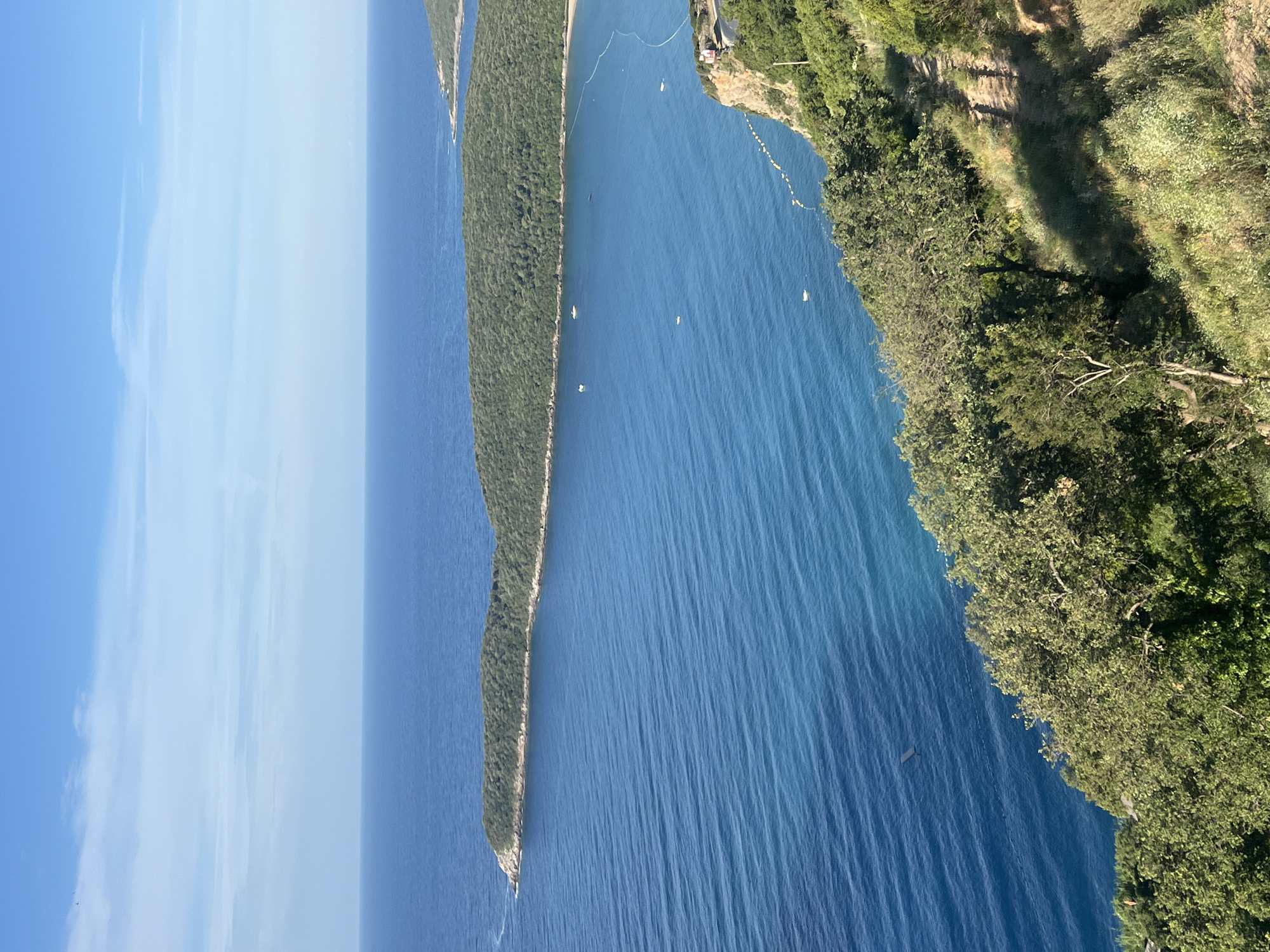 Adriatic coastline, blooming flowers, and construction along the Montenegrin coast