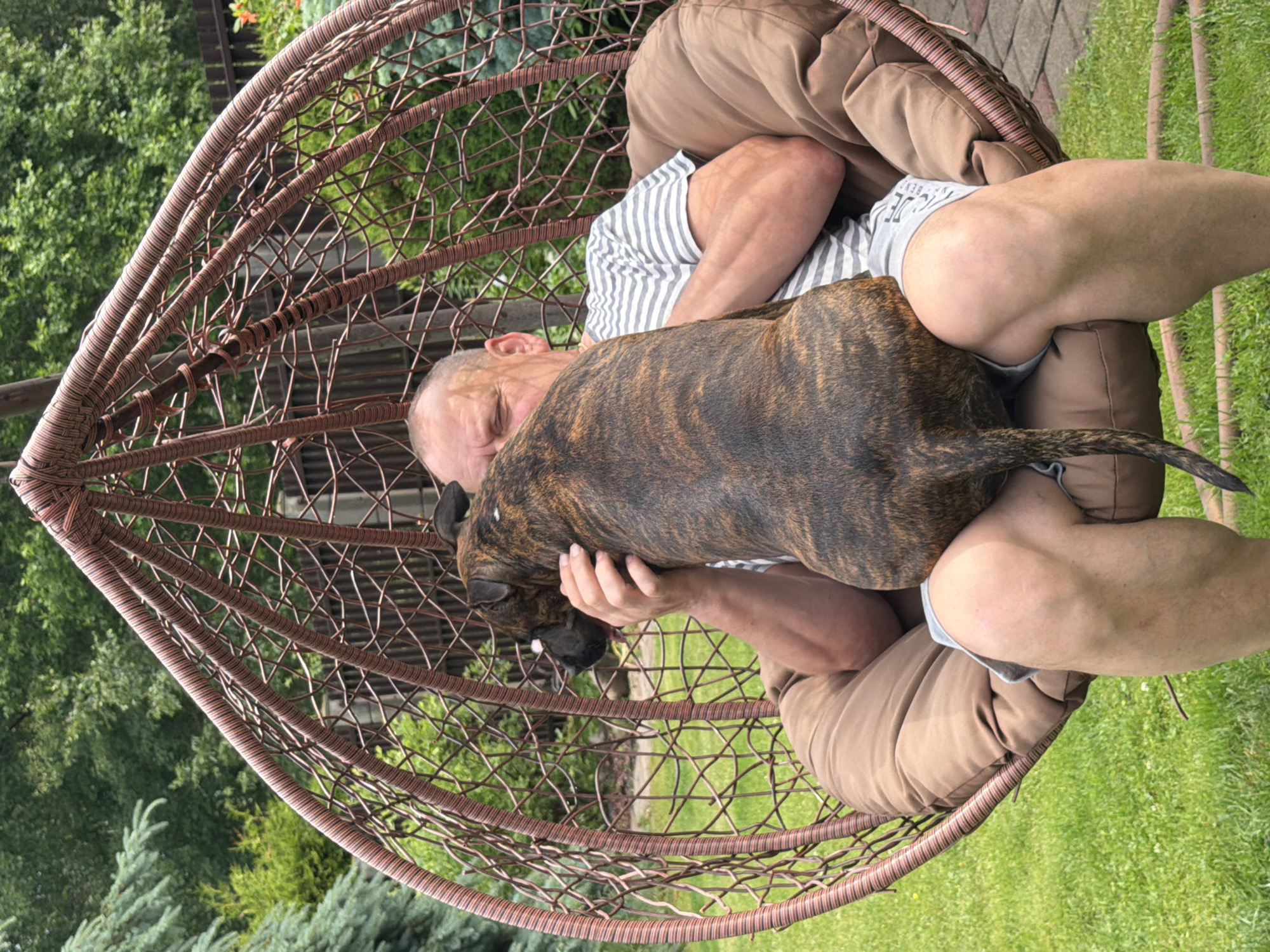 Lazy summer morning in a Baloži backyard with dogs and kids