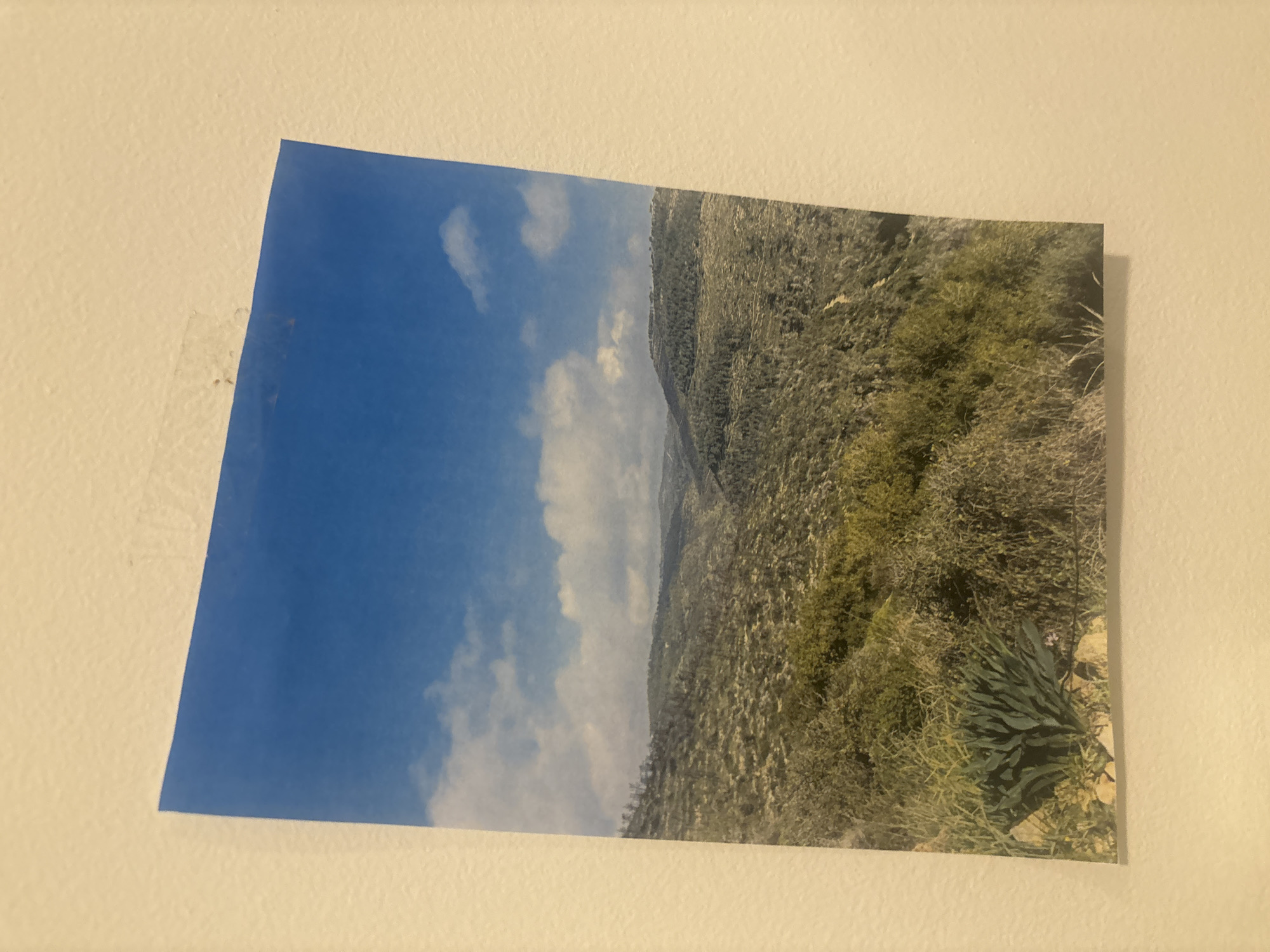 Landscape photograph displayed on wall in Givatayim